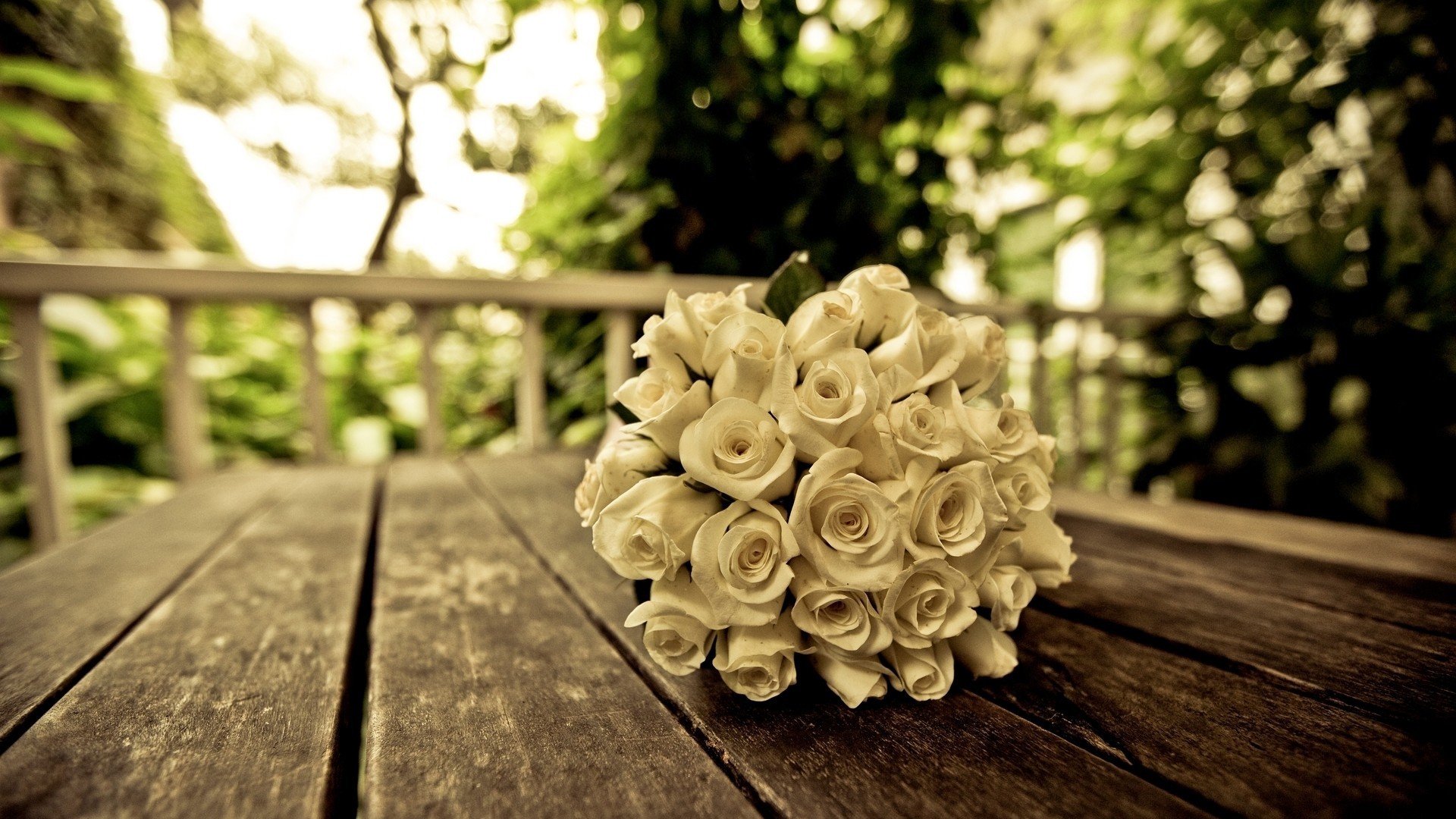 小清新,唯美,温暖,温馨一刻,静物写真