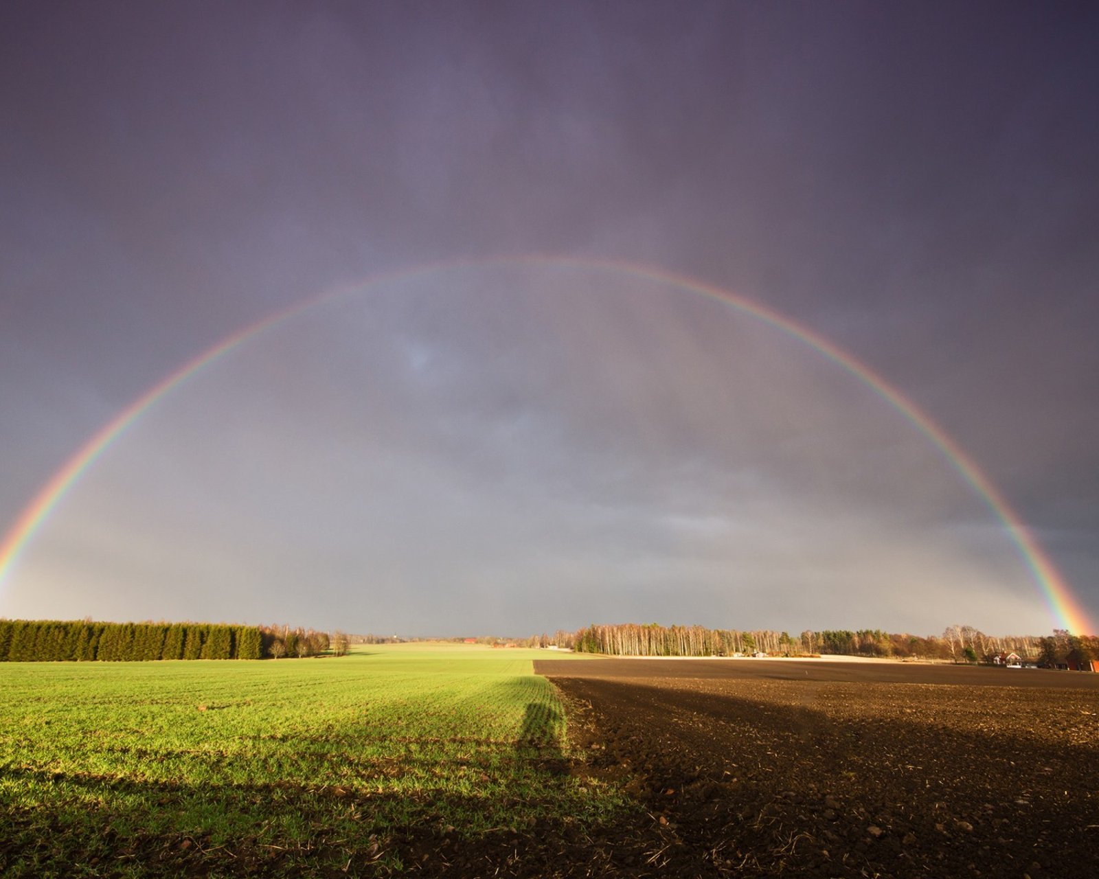 自然风光,绿色,清新,唯美,意境,炎炎夏日,旅游胜地,风景