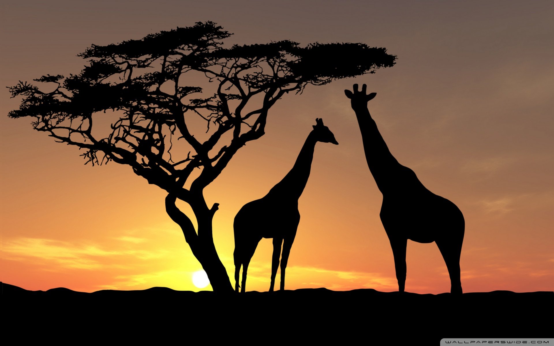 温馨一刻,小清新,风景,LOMO,复古,怀念