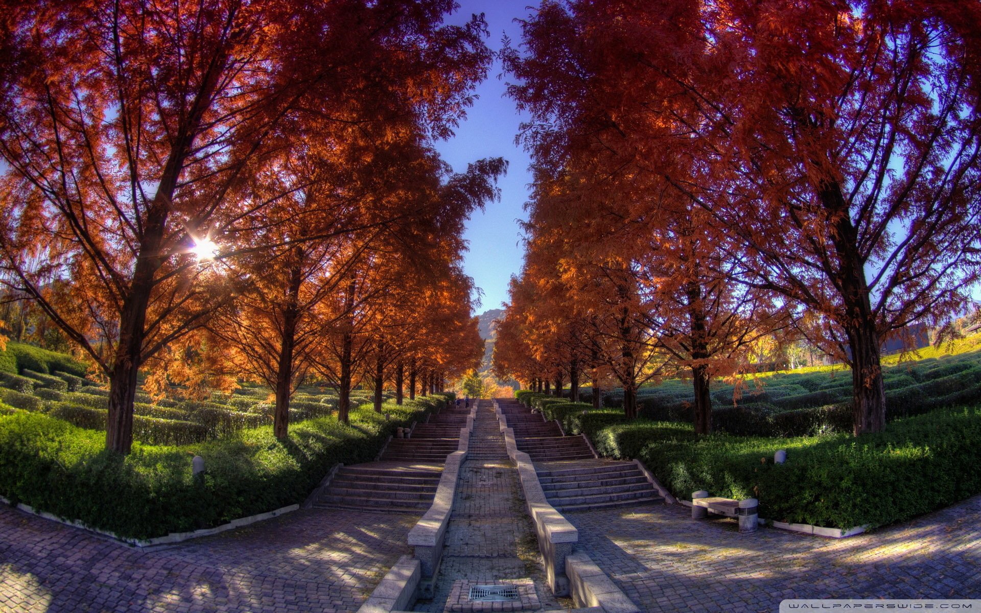 自然风光,绿色,清新,唯美,意境,炎炎夏日,旅游胜地,风景