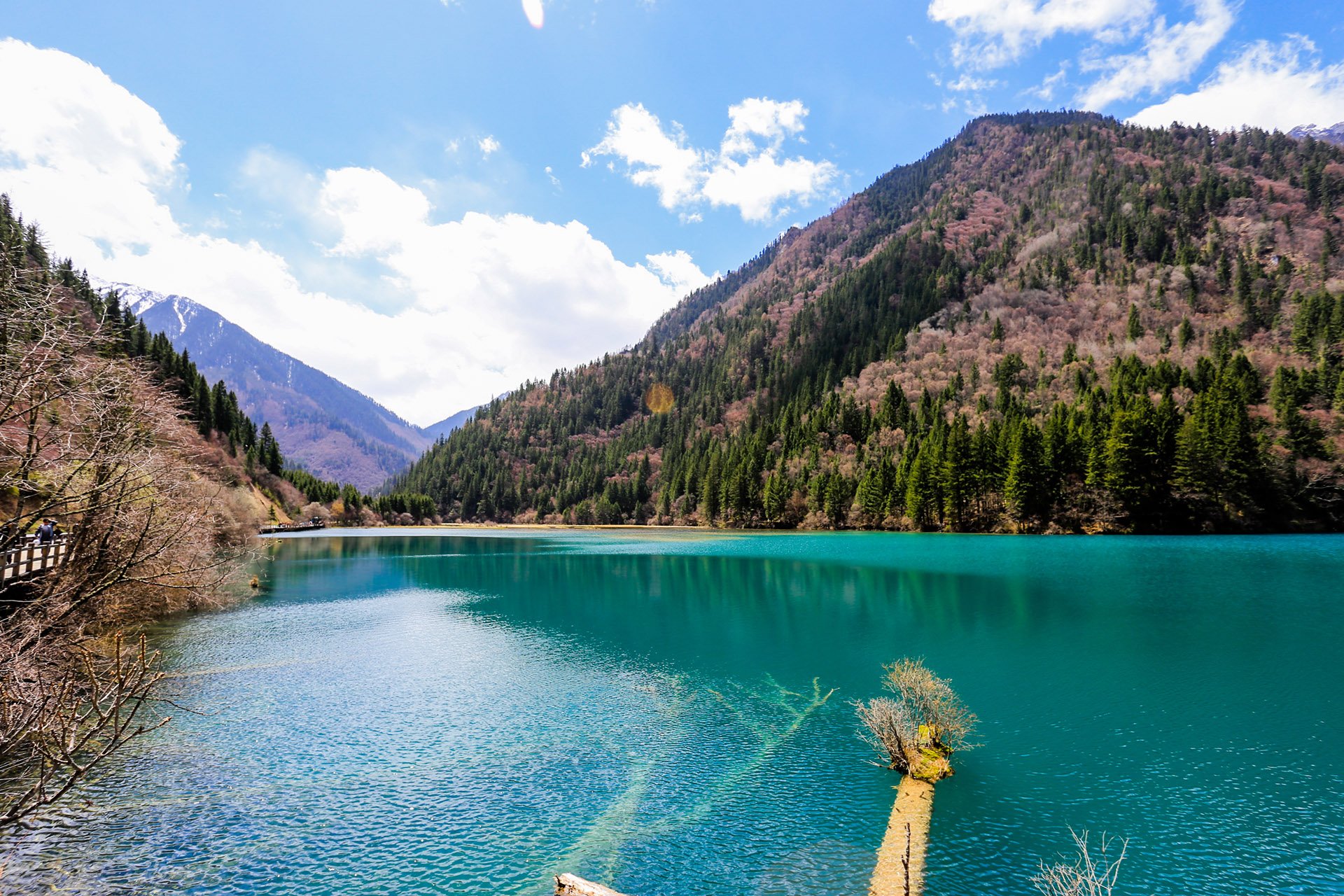 自然风光,绿色,清新,唯美,意境,炎炎夏日,旅游胜地,风景