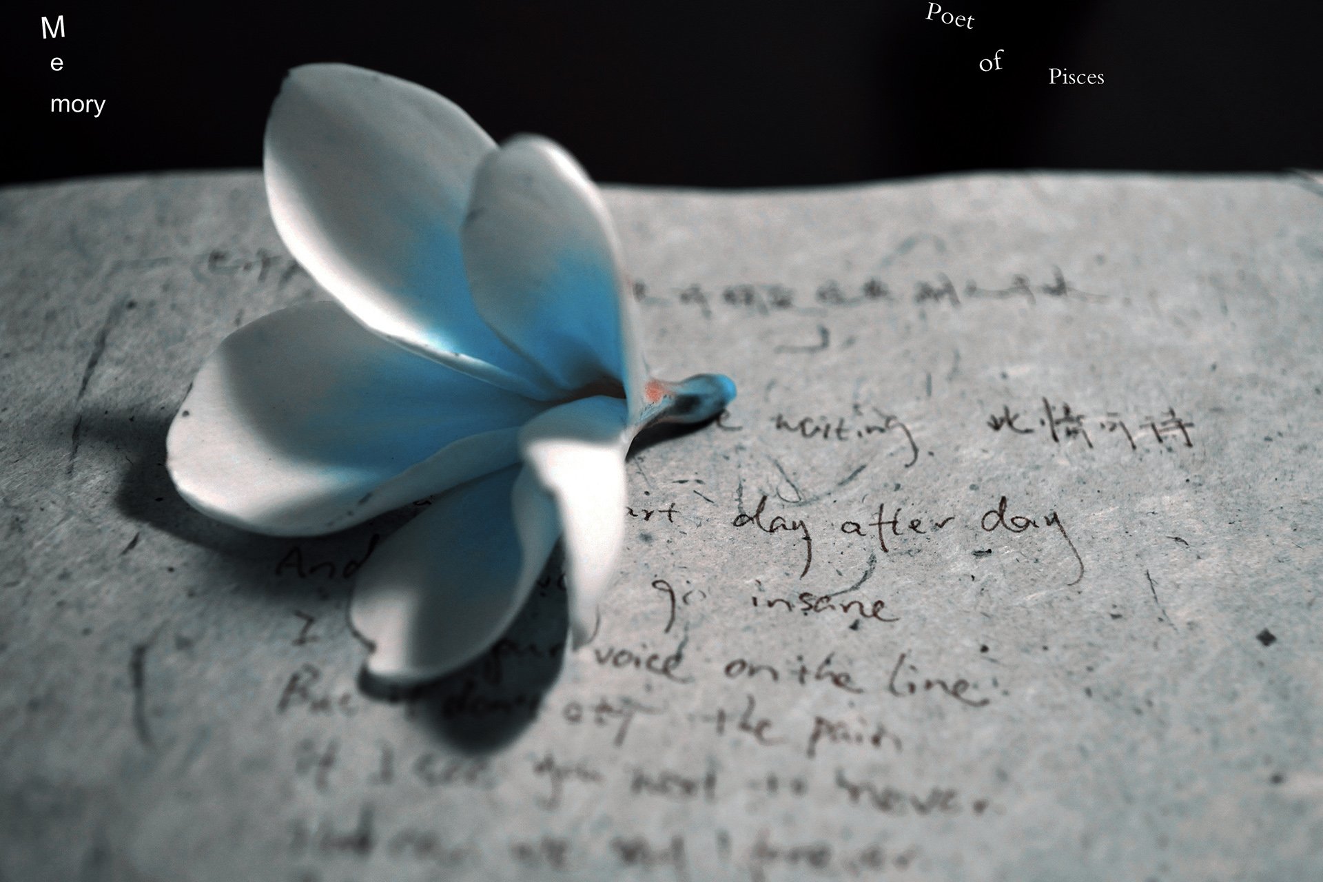 小清新,唯美,温暖,安静