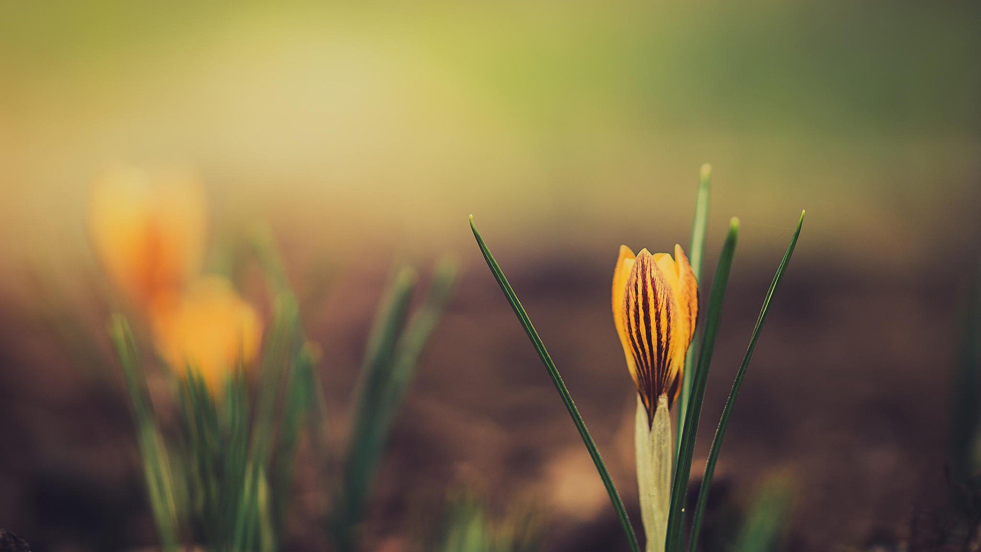 小清新,唯美,温暖,安静