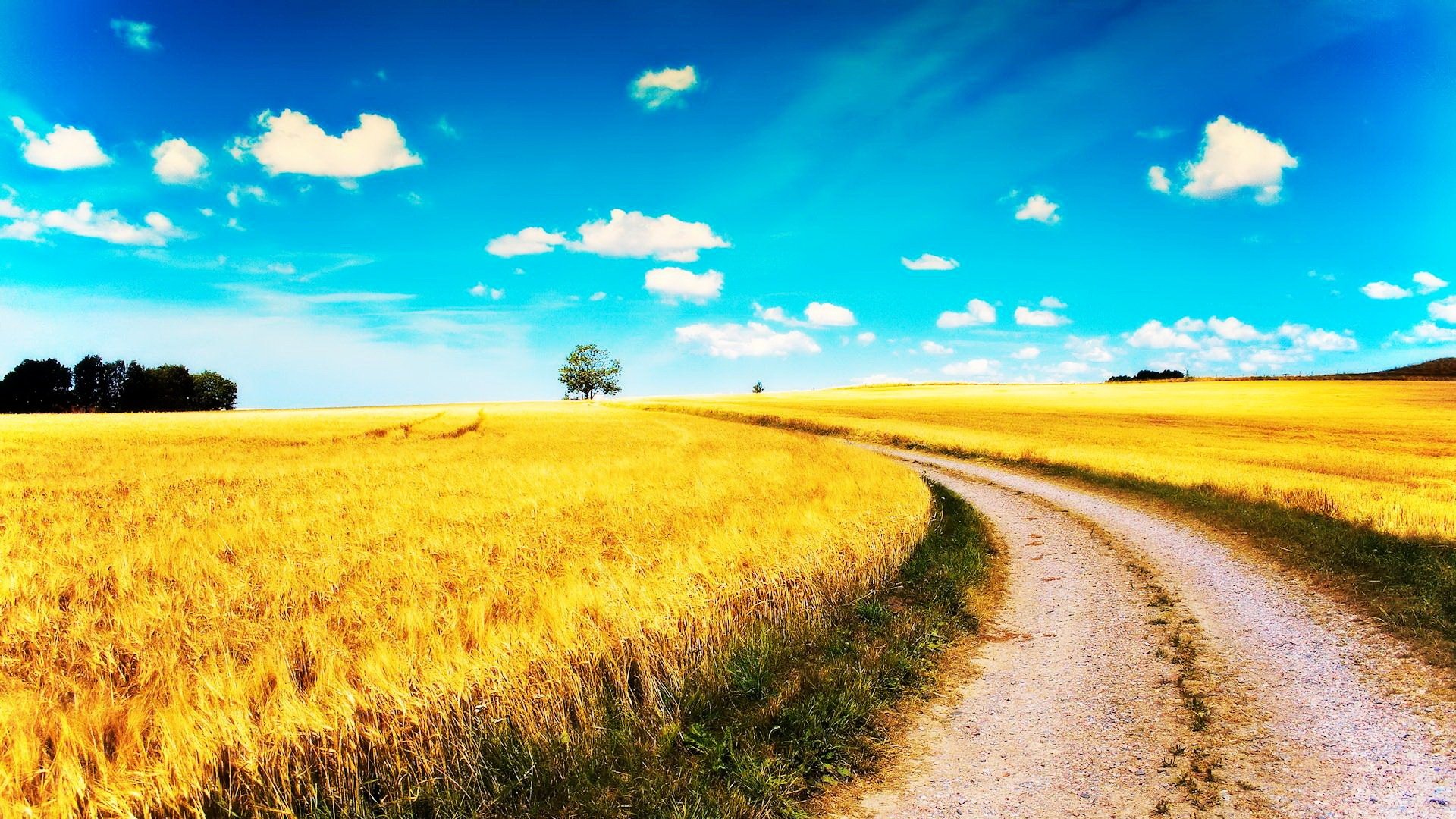 自然,风光,风景,路,前方,方向,前进