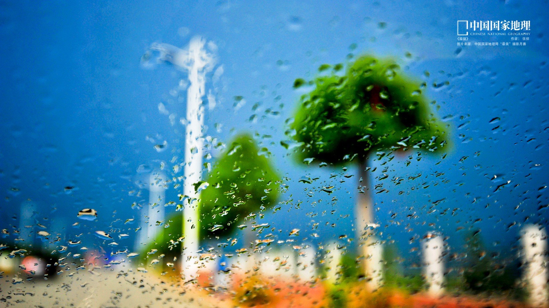 自然,风光,风景,春意盎然,春天,唯美,雨,下雨,春雨,树