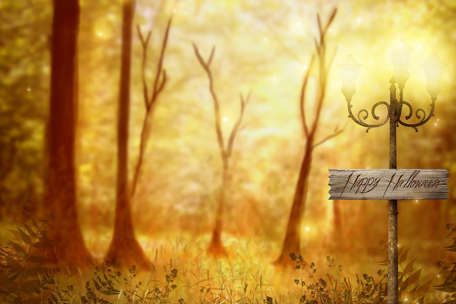 自然,风光,风景,路,前方,方向,前进