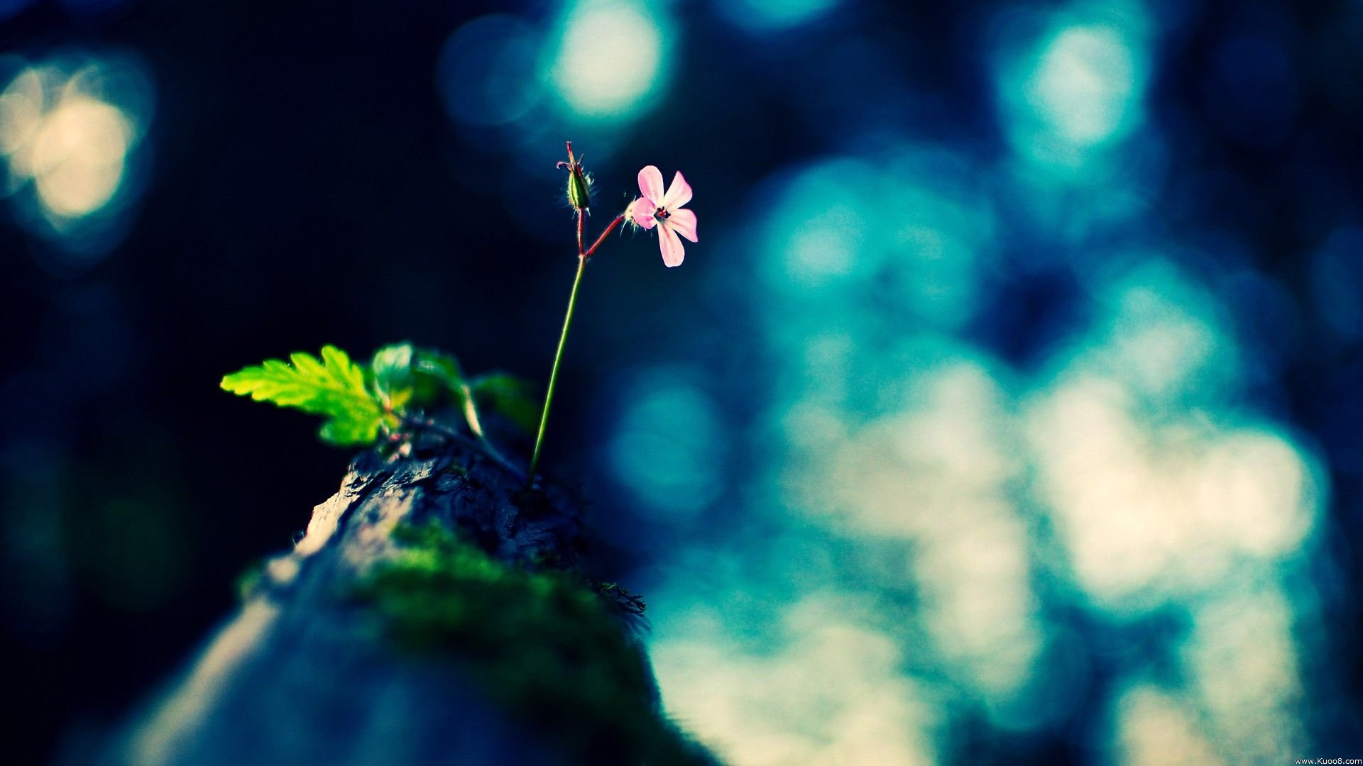 温馨一刻,小清新,风景,LOMO,复古,怀念