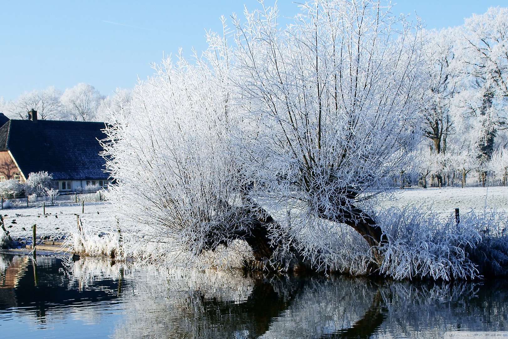 自然风光,绿色,清新,唯美,意境,炎炎夏日,旅游胜地,风景