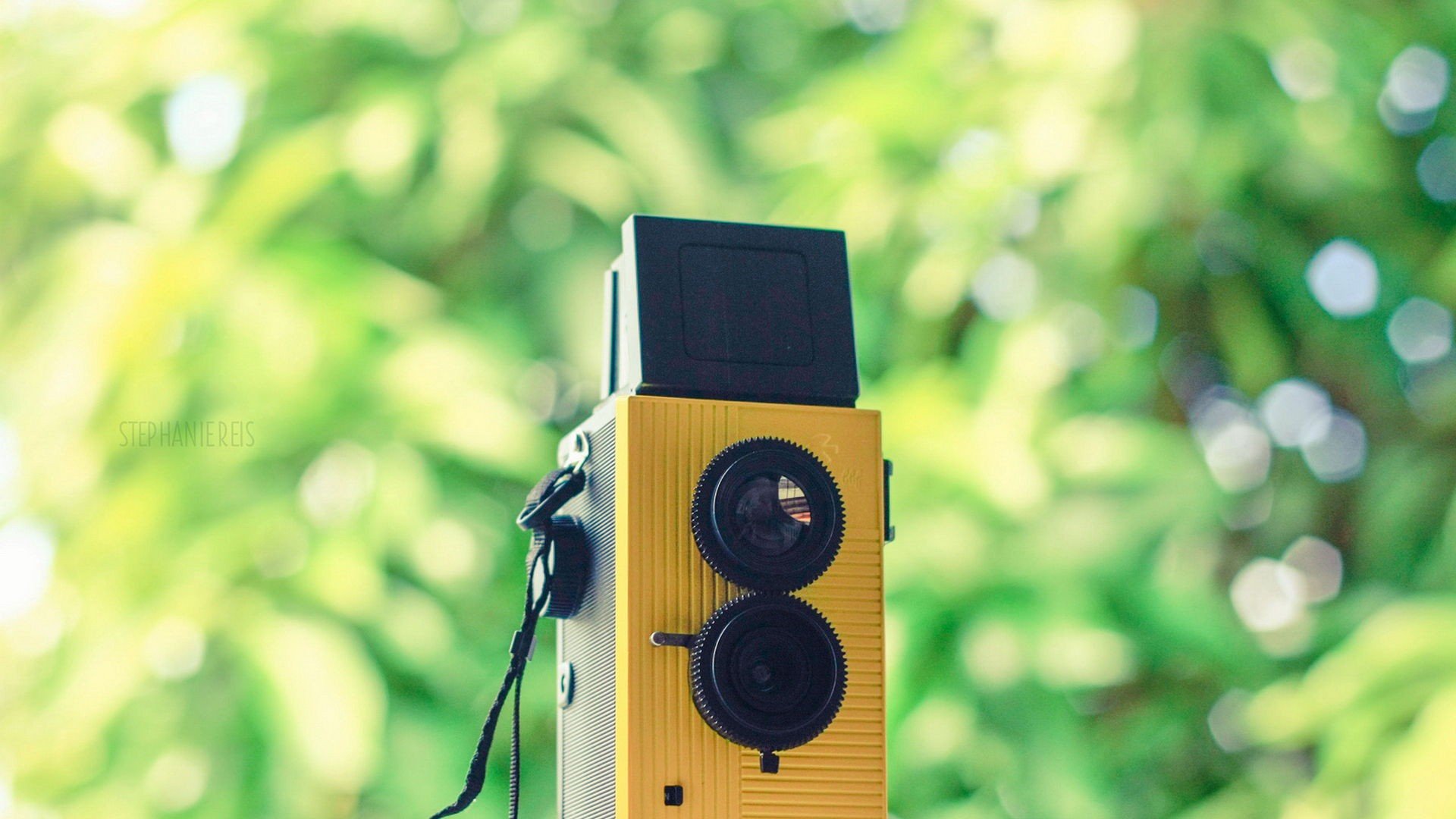 小清新,唯美,温暖,温馨一刻,静物写真