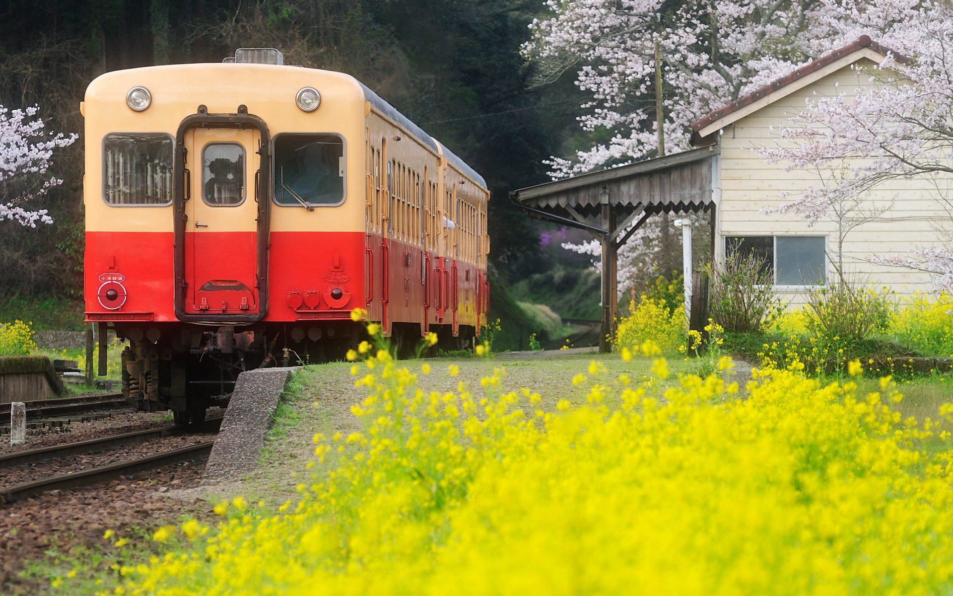 温馨一刻,小清新,风景,LOMO,复古,怀念