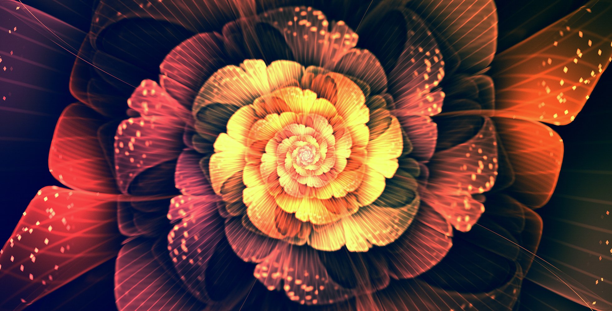 炫酷,特效,视觉艺术分形艺术,花,艺术,设计,色彩,炫彩