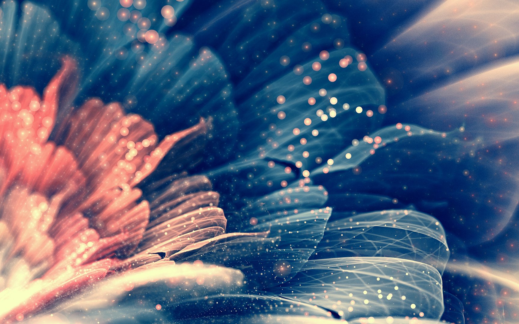 炫酷,特效,视觉艺术分形艺术,花,艺术,设计,色彩,炫彩