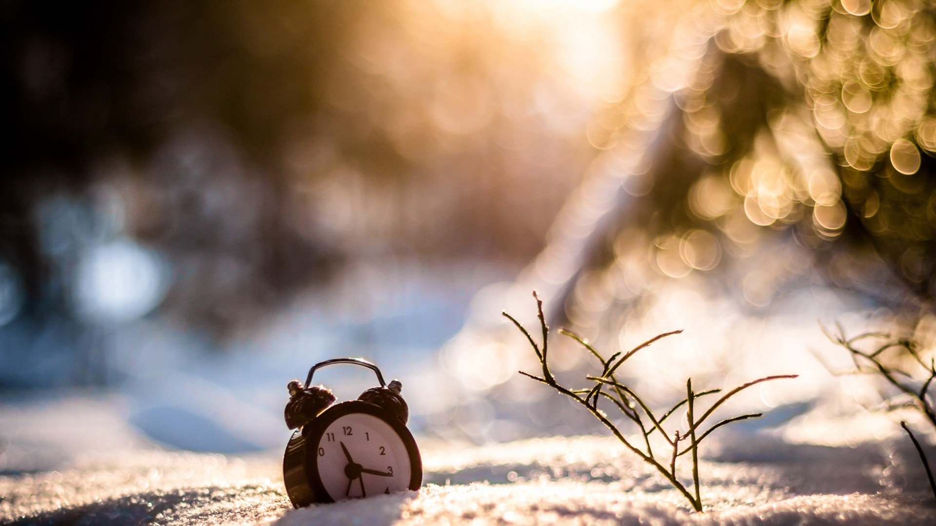 小清新,唯美,温馨,温暖,阳光,治愈系,安静,生活,慢生活,清新淡雅,温馨一刻,静物写真,时间,表,钟表,时光