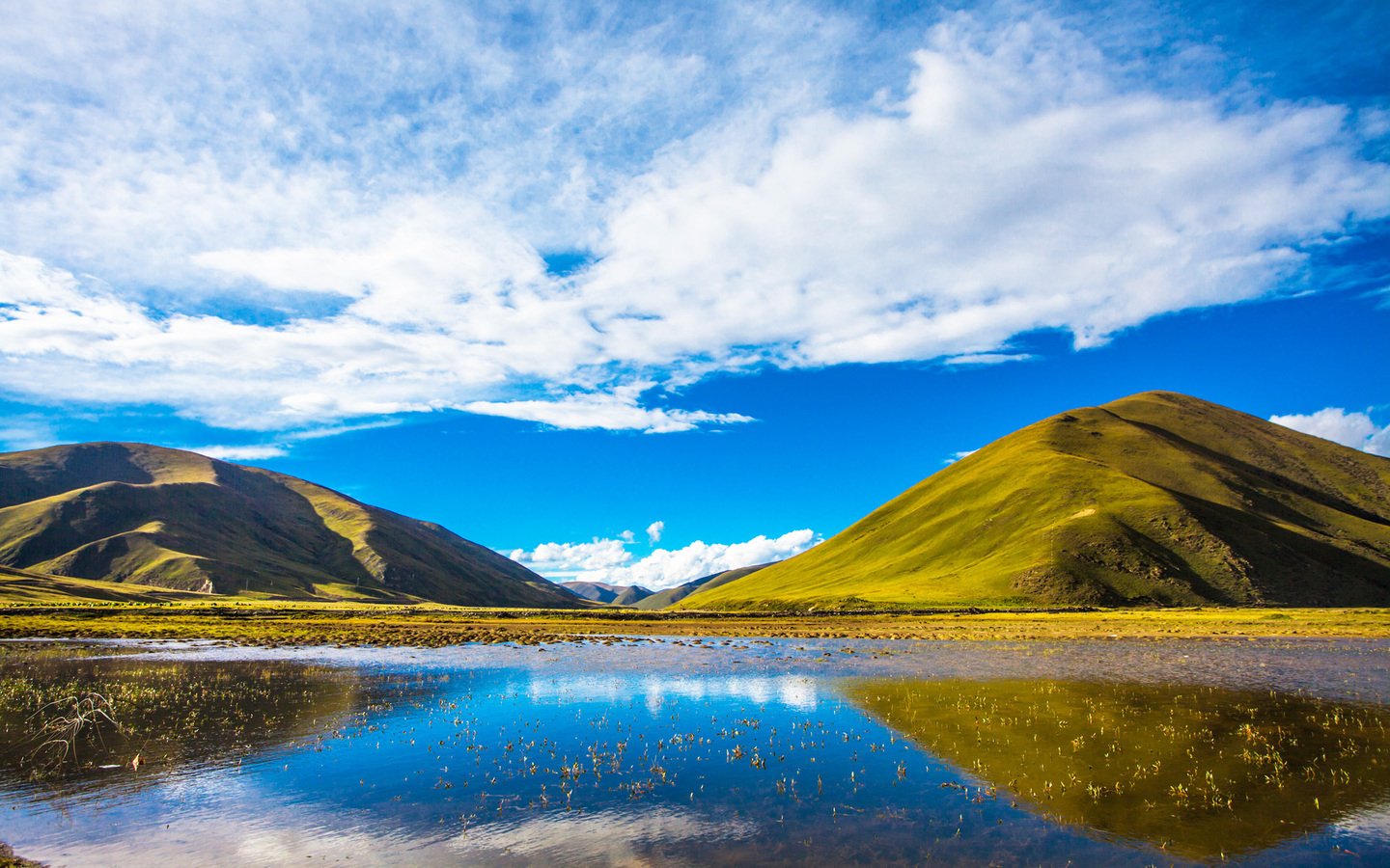 自然风光,绿色,清新,唯美,意境,炎炎夏日,旅游胜地,风景
