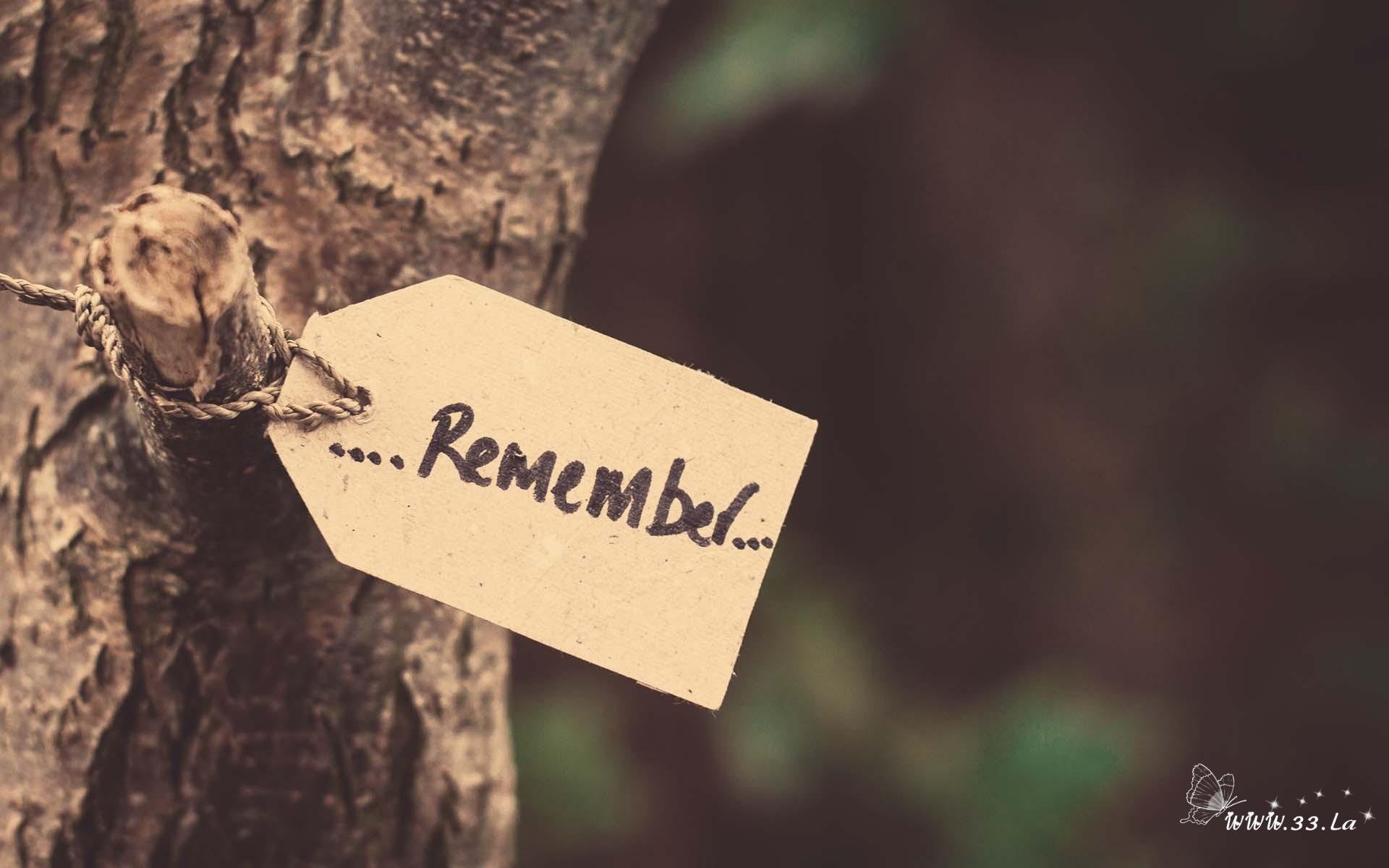 浪漫,爱情,情感,爱,love,唯美,清新,文字,爱情箴言,英文