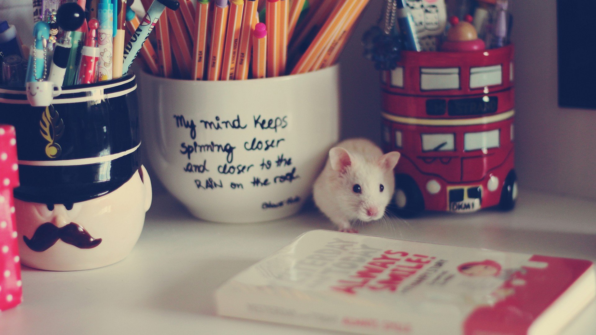 小清新,唯美,温暖,温馨一刻,静物写真