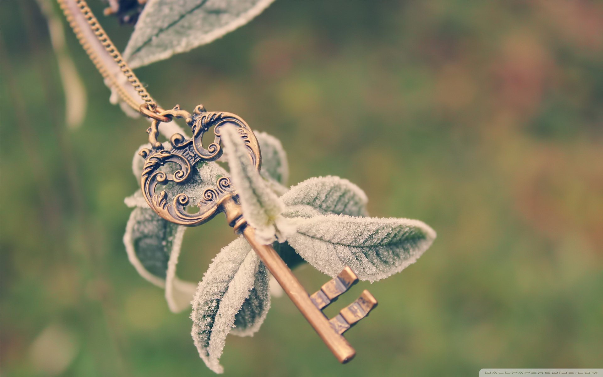 小清新,唯美,温馨,温暖,阳光,治愈系,安静,生活,慢生活,清新淡雅,温馨一刻,静物写真,物语,要是