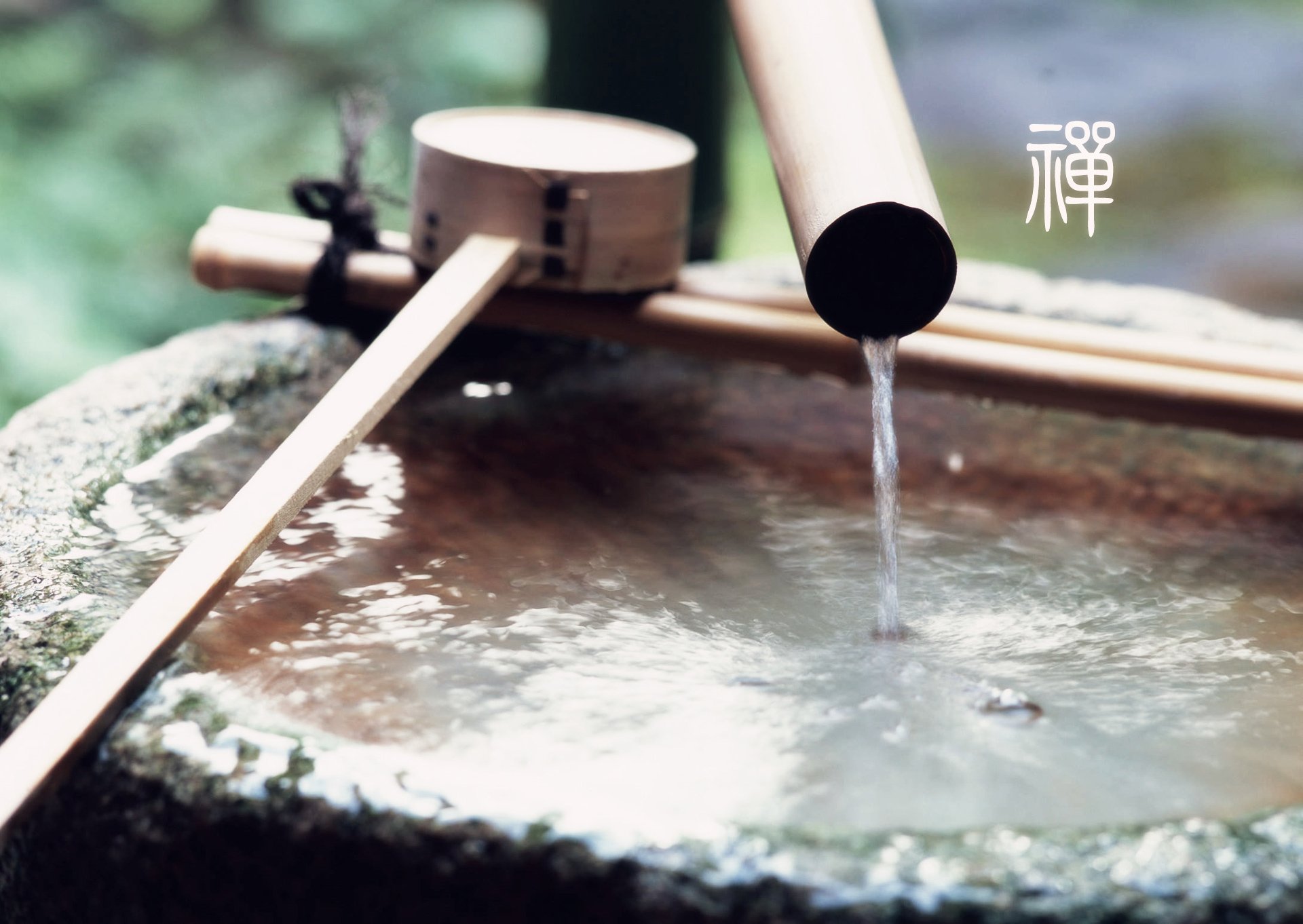 自然,风光,风景,禅境,微距,摄影,意境,安静,禅意流水,潺潺,竹子