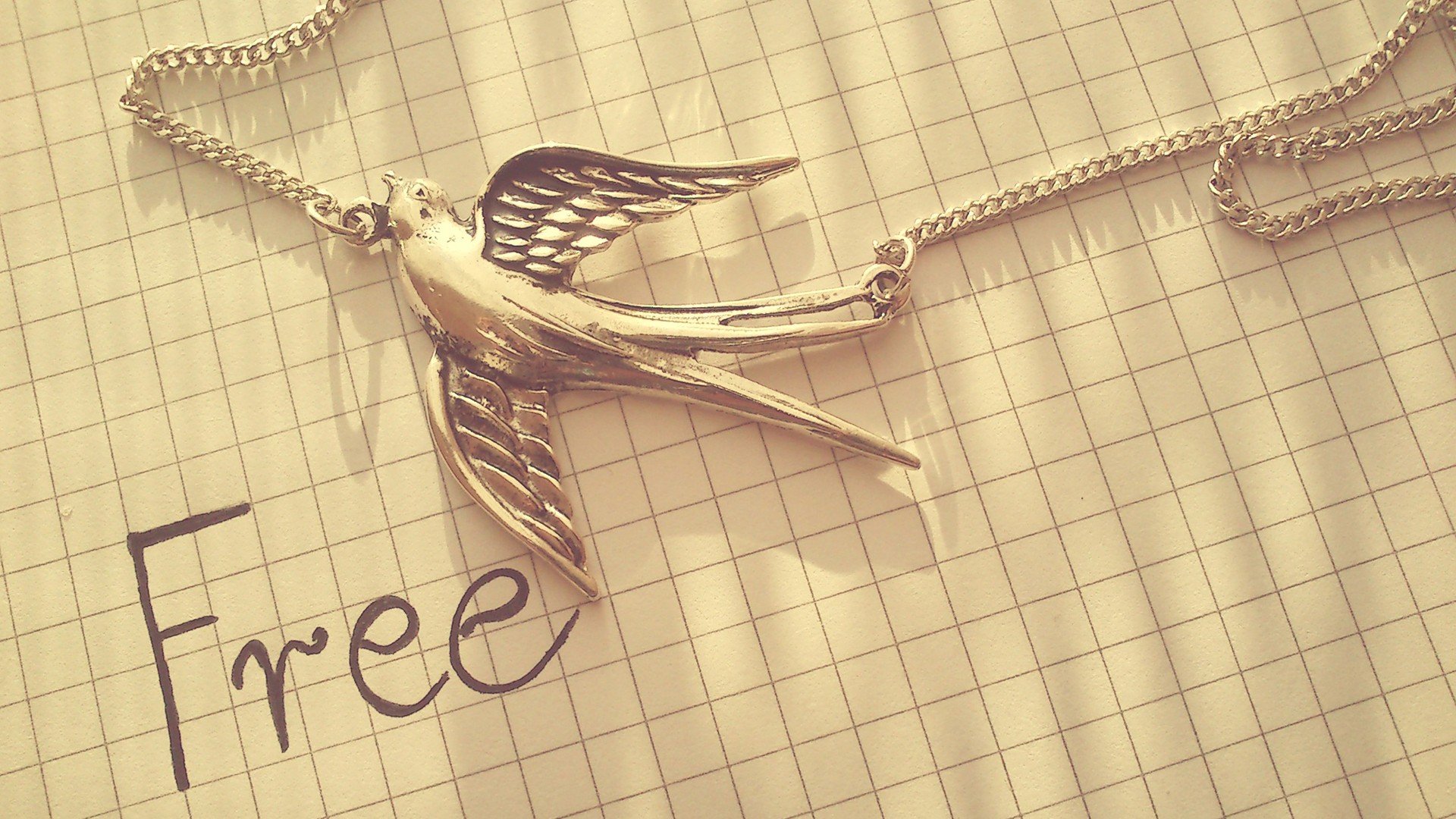 小清新,唯美,温暖,温馨一刻,静物写真