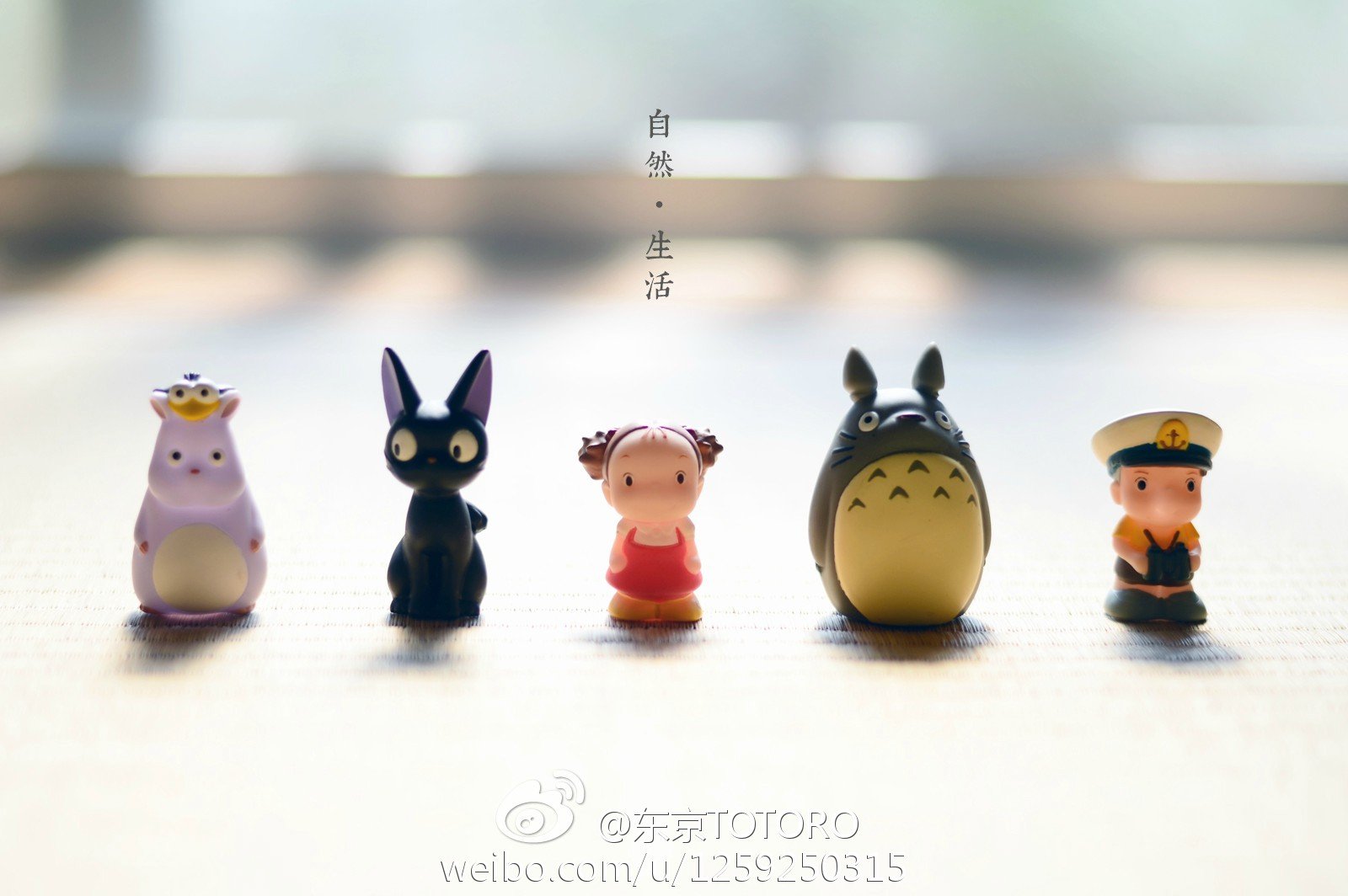 小清新,唯美,温暖,温馨一刻,静物写真,龙猫