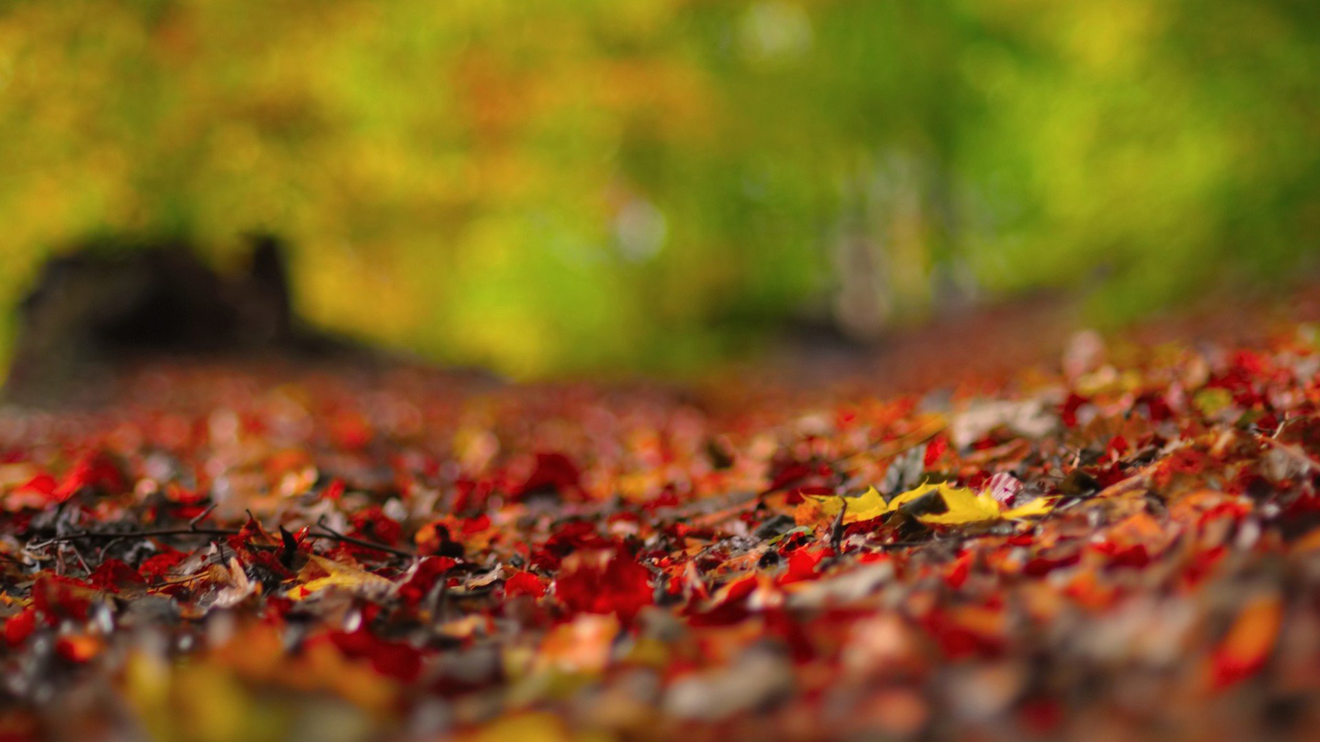 小清新,唯美,温暖,安静