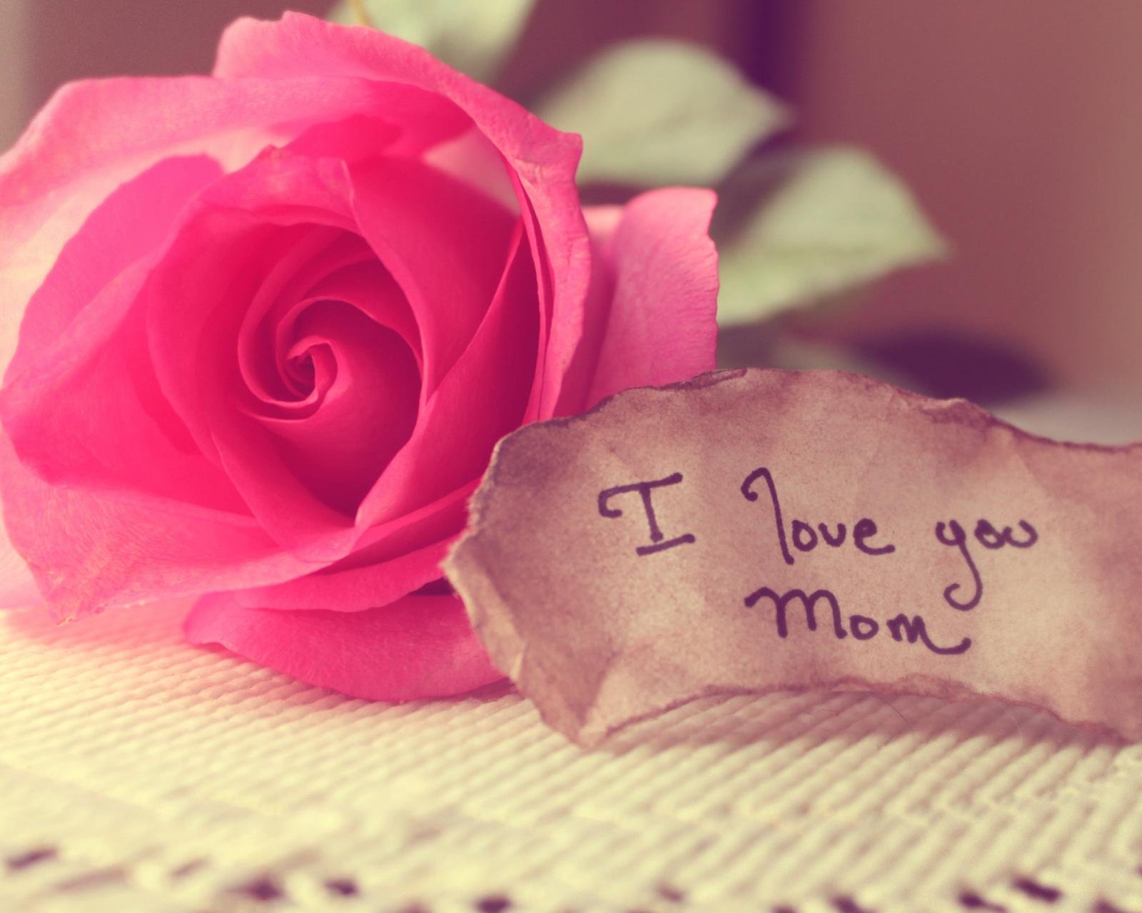 母亲节,唯美温馨,温馨一刻,妈妈