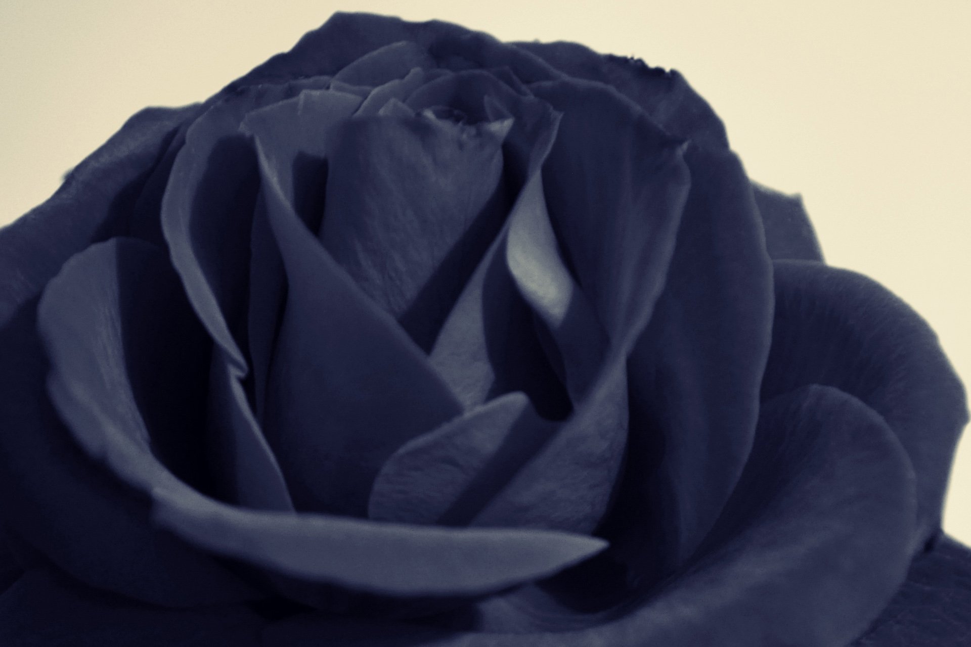 炫酷,特效,视觉艺术,设计