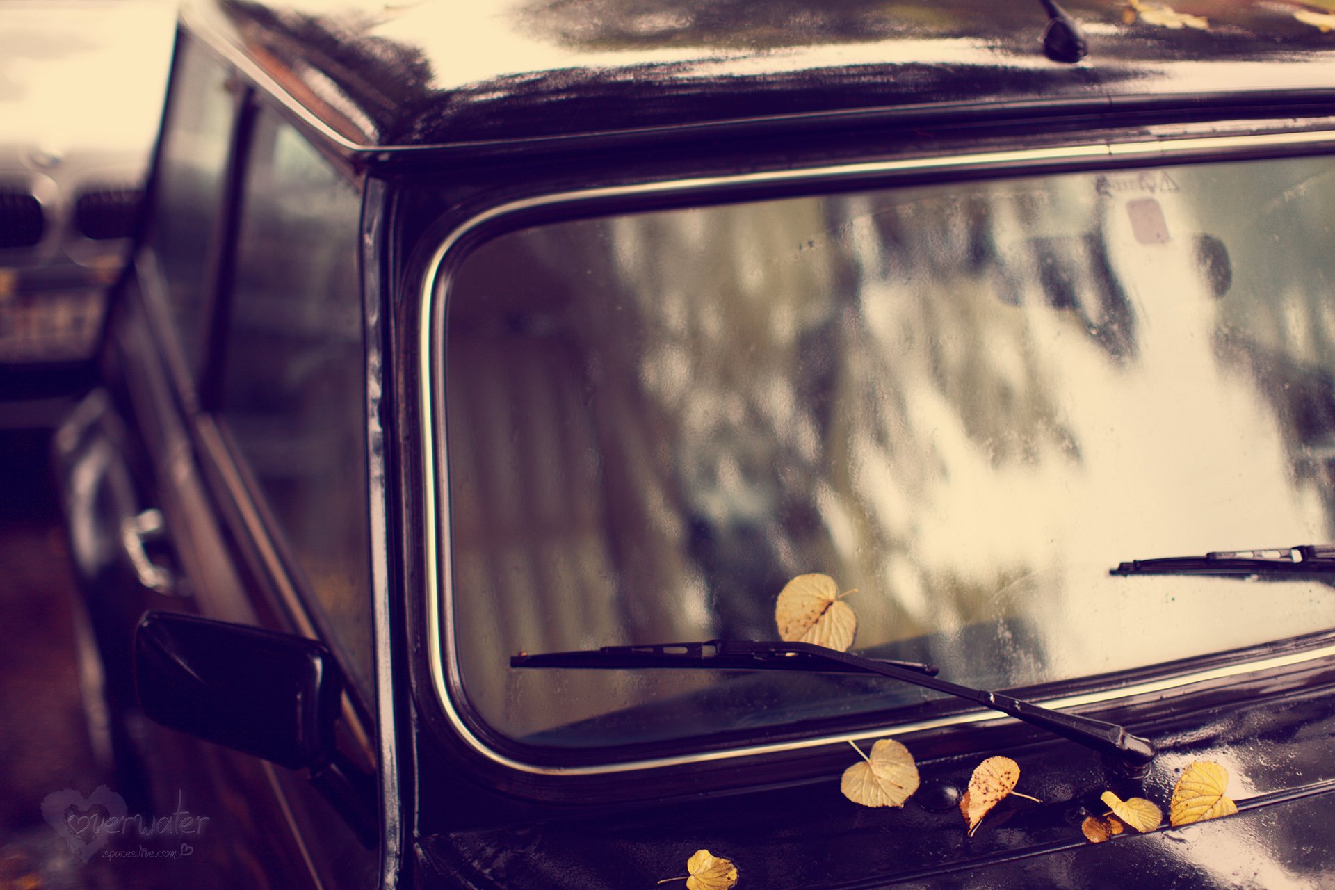 小清新,唯美,温暖,温馨一刻,静物写真