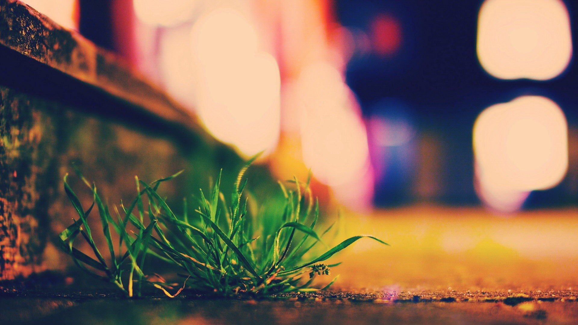 小清新,唯美,温馨,温暖,阳光,治愈系,安静,生活,慢生活,清新淡雅,温馨一刻,日系小清新,海边