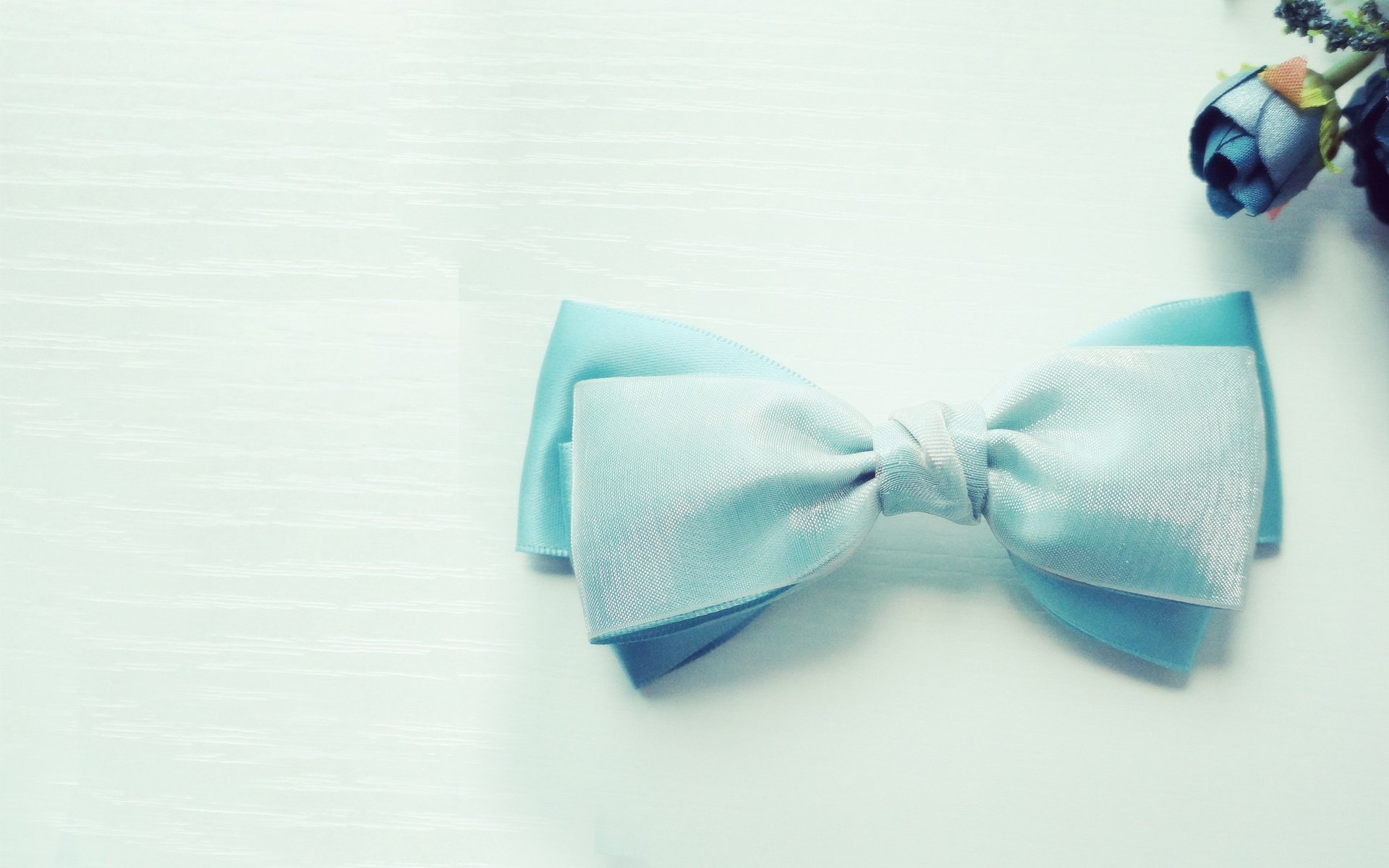 小清新,唯美,温馨,温暖,阳光,治愈系,安静,生活,慢生活,清新淡雅,温馨一刻,静物写真,物语,蝴蝶结,可爱