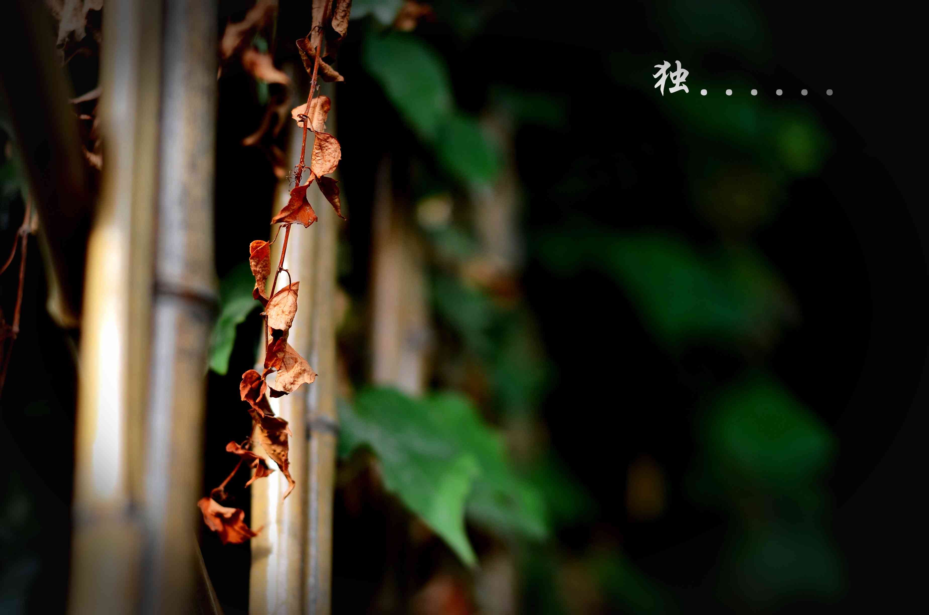 温馨一刻,小清新,风景,LOMO,复古,怀念