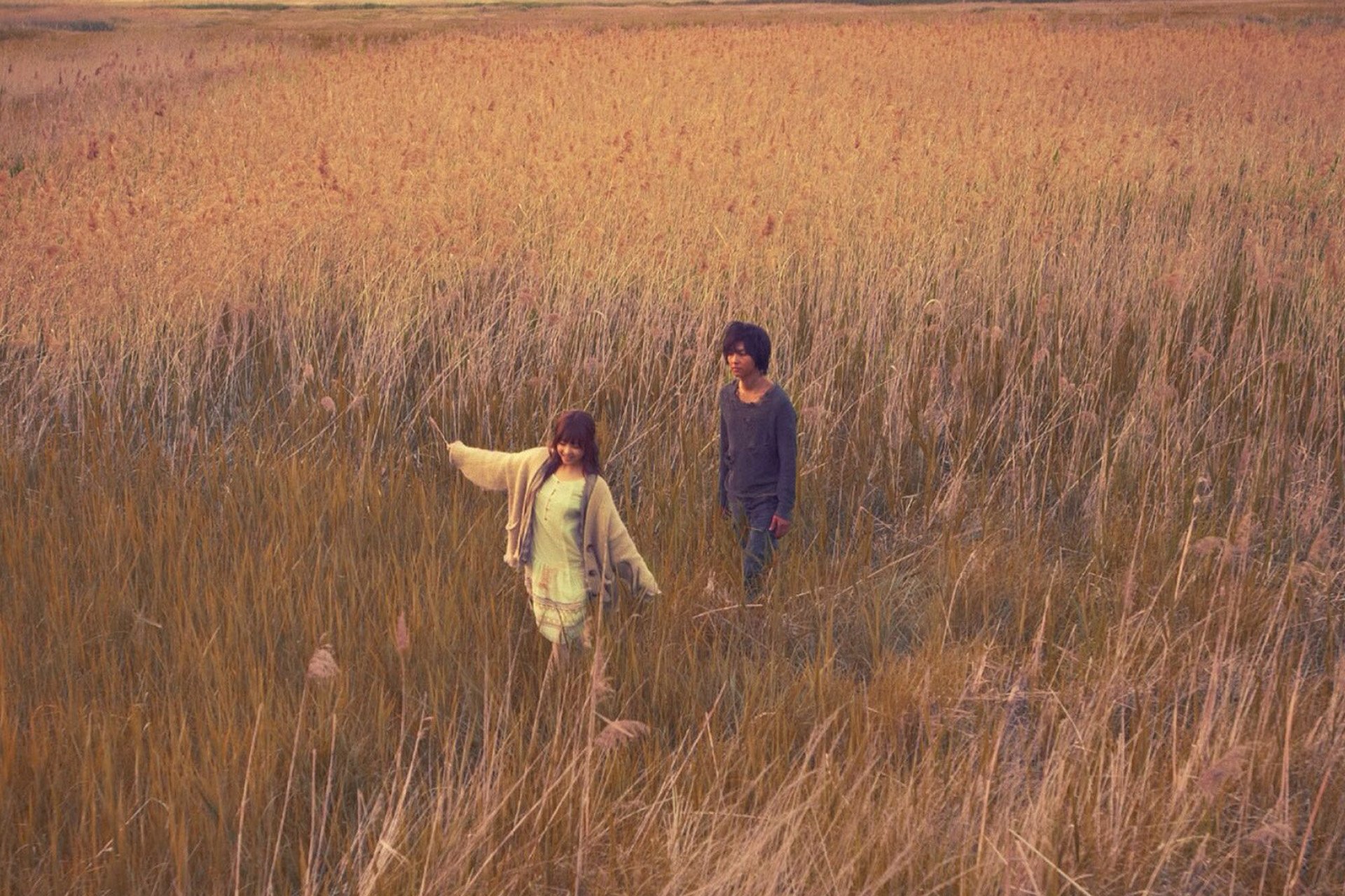 浪漫,爱情,情感,爱,love,清新,唯美,情侣,唯美温馨,暗恋