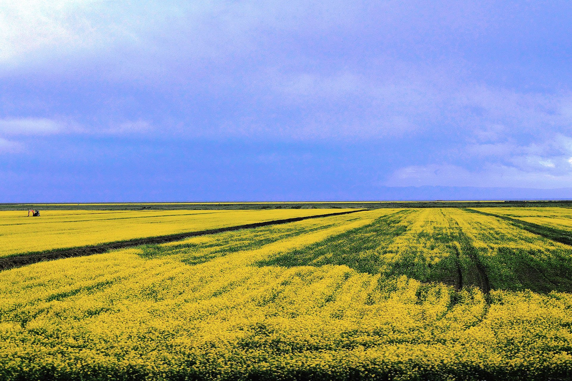 风景,自然风光,旅行,天堂,西藏,旅游胜地,自由,净化心灵