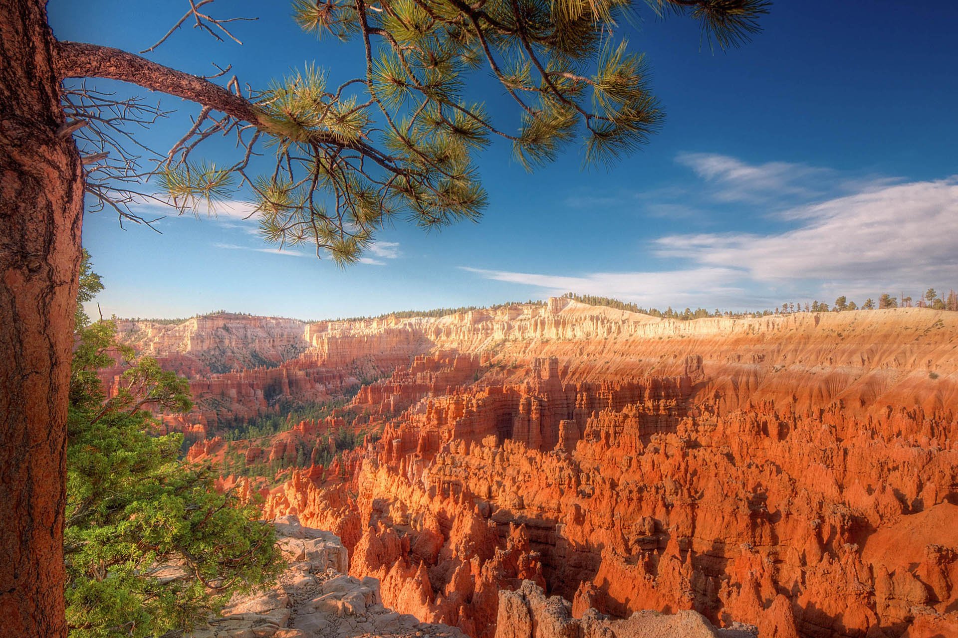 自然,风光,风景,山,唯美,意境,松树