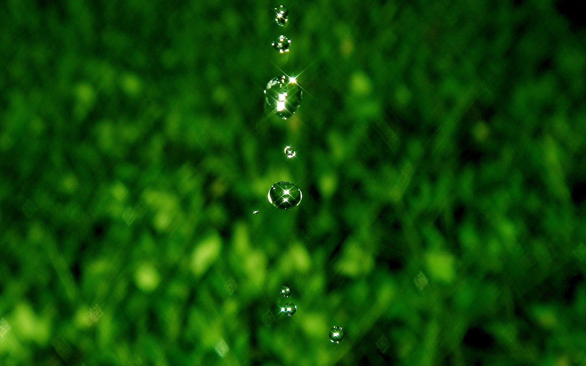 小清新,风景,自然风光,绿色植物,绿色养眼,春天,唯美,安静