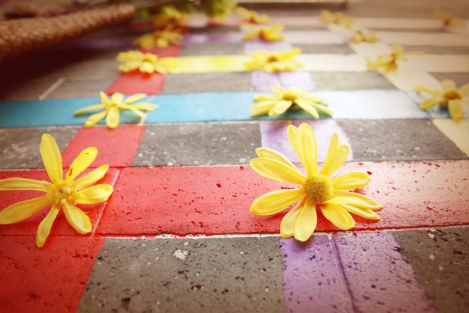 小清新,唯美,温馨,温暖,阳光,绿色养眼,自然,清新淡雅,花,春天,花团锦簇