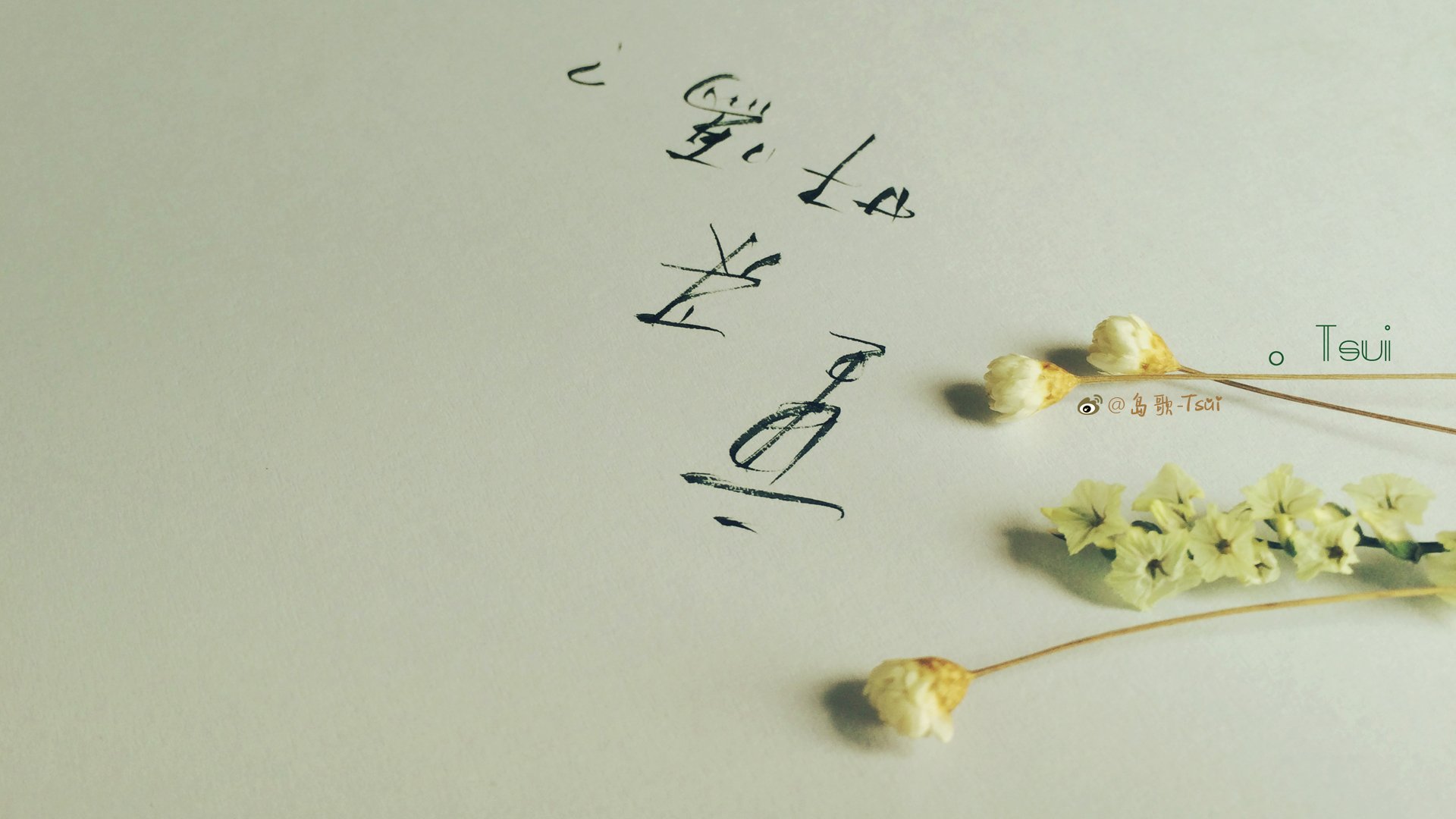 岛歌,手写,伤感,文字,爱情箴言