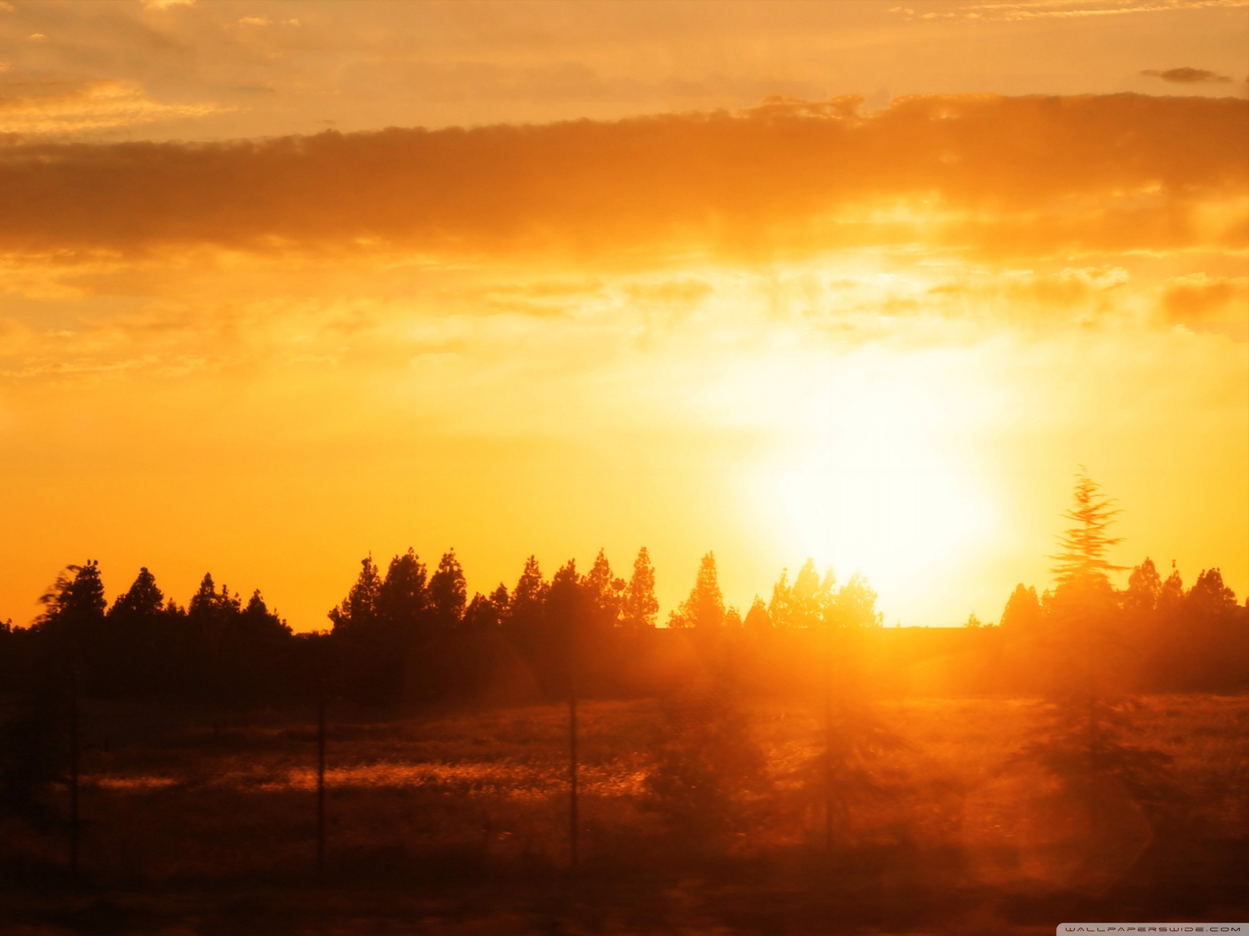自然风光,绿色,清新,唯美,意境,炎炎夏日,旅游胜地,风景