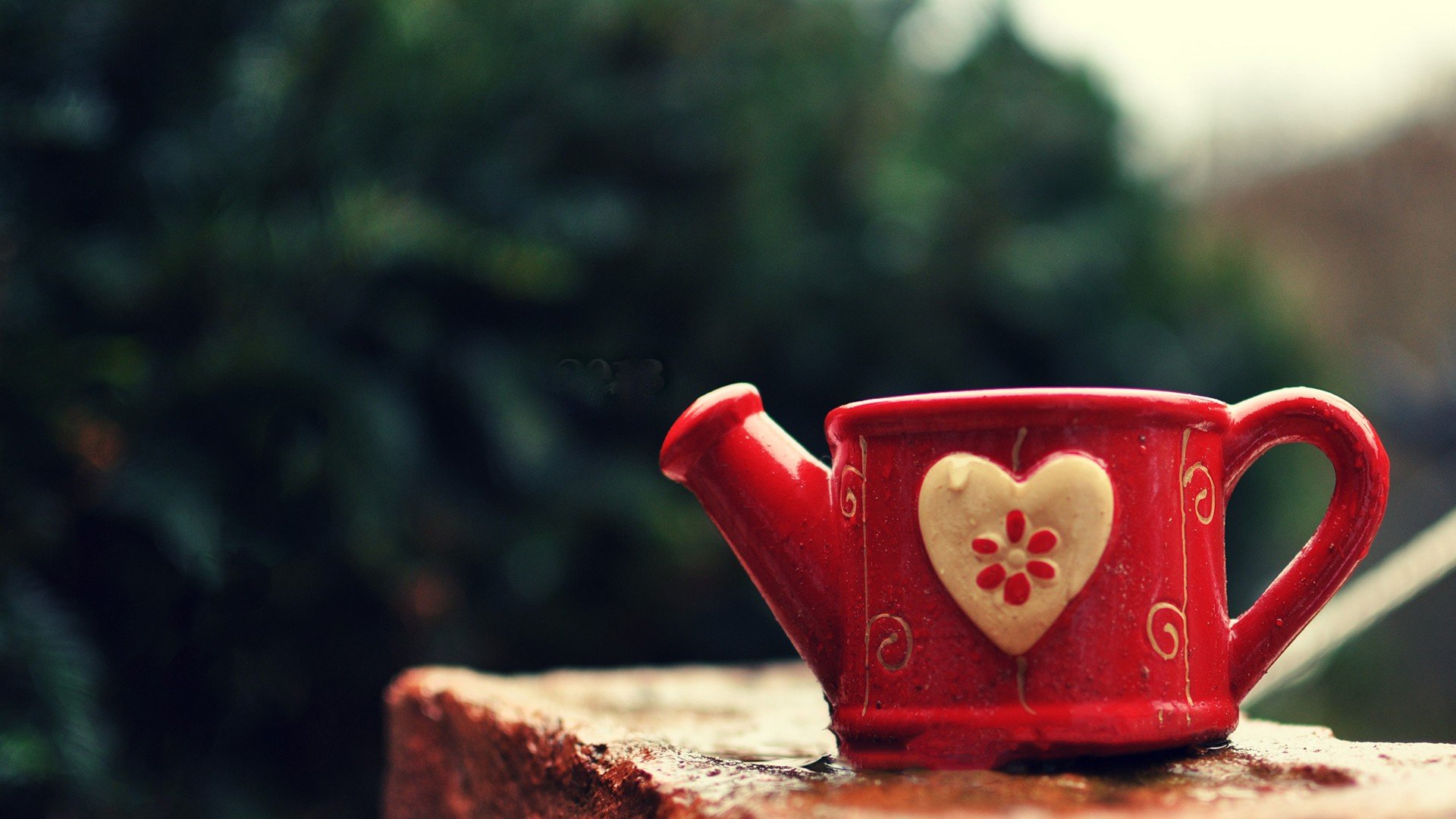 小清新,唯美,温暖,温馨一刻,静物写真