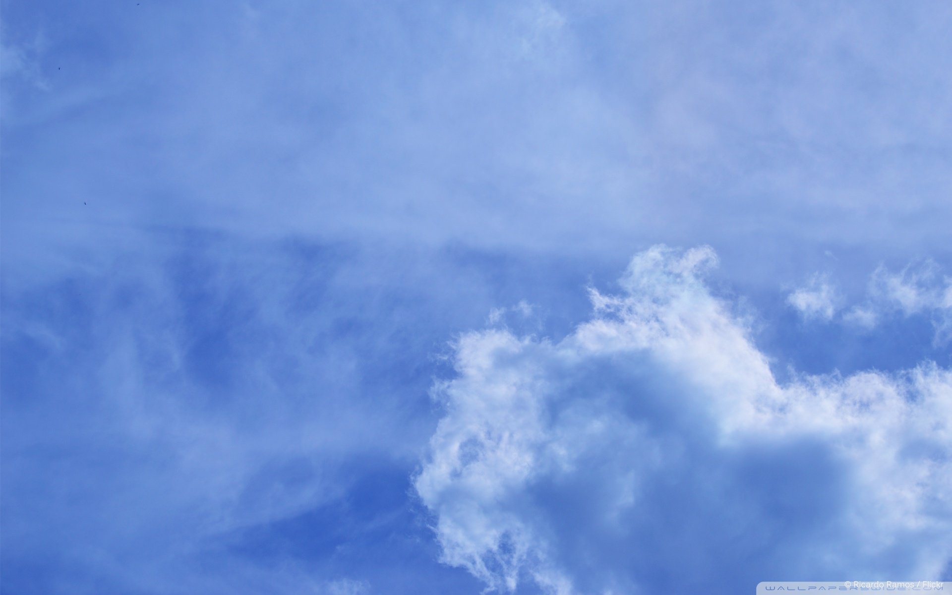 大自然的爱,心,唯美,风景,自然