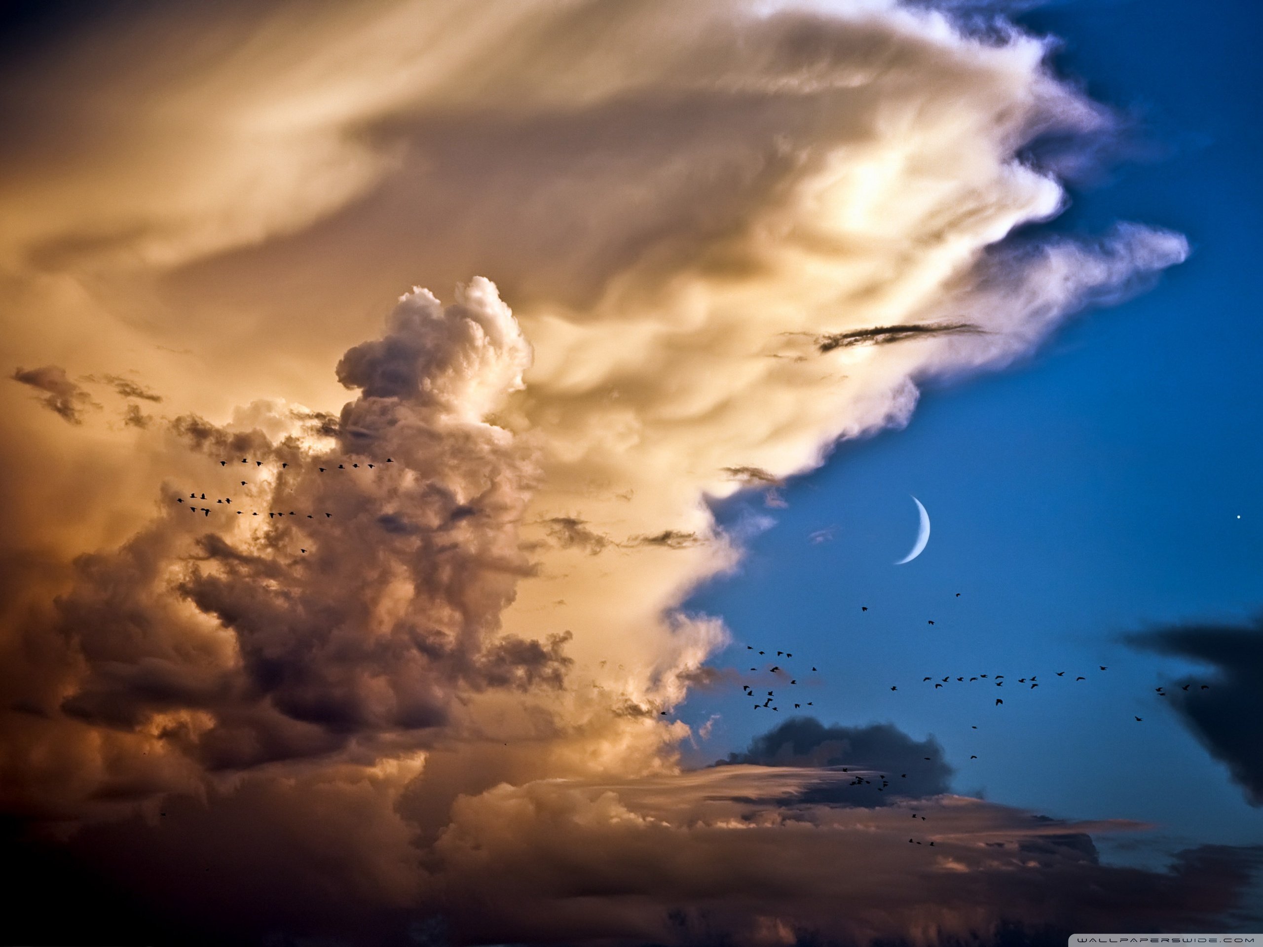 自然风光,绿色,清新,唯美,意境,炎炎夏日,旅游胜地,风景