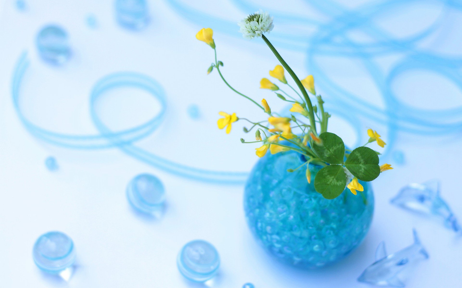 小清新,唯美,娇艳欲滴,花儿,春天,温暖,温馨一刻,清新淡雅,鸟语花香