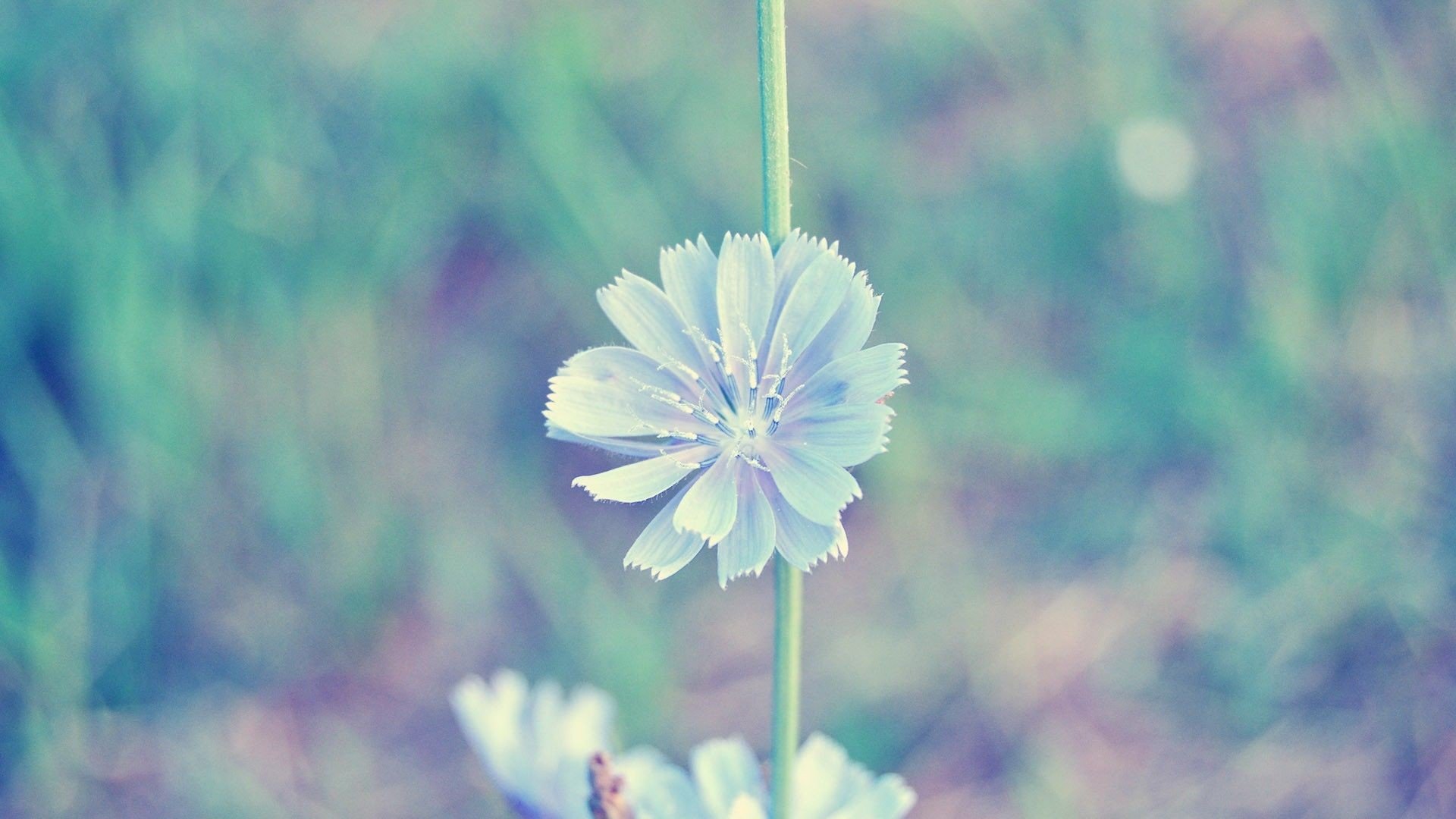 小清新,唯美,温暖,安静