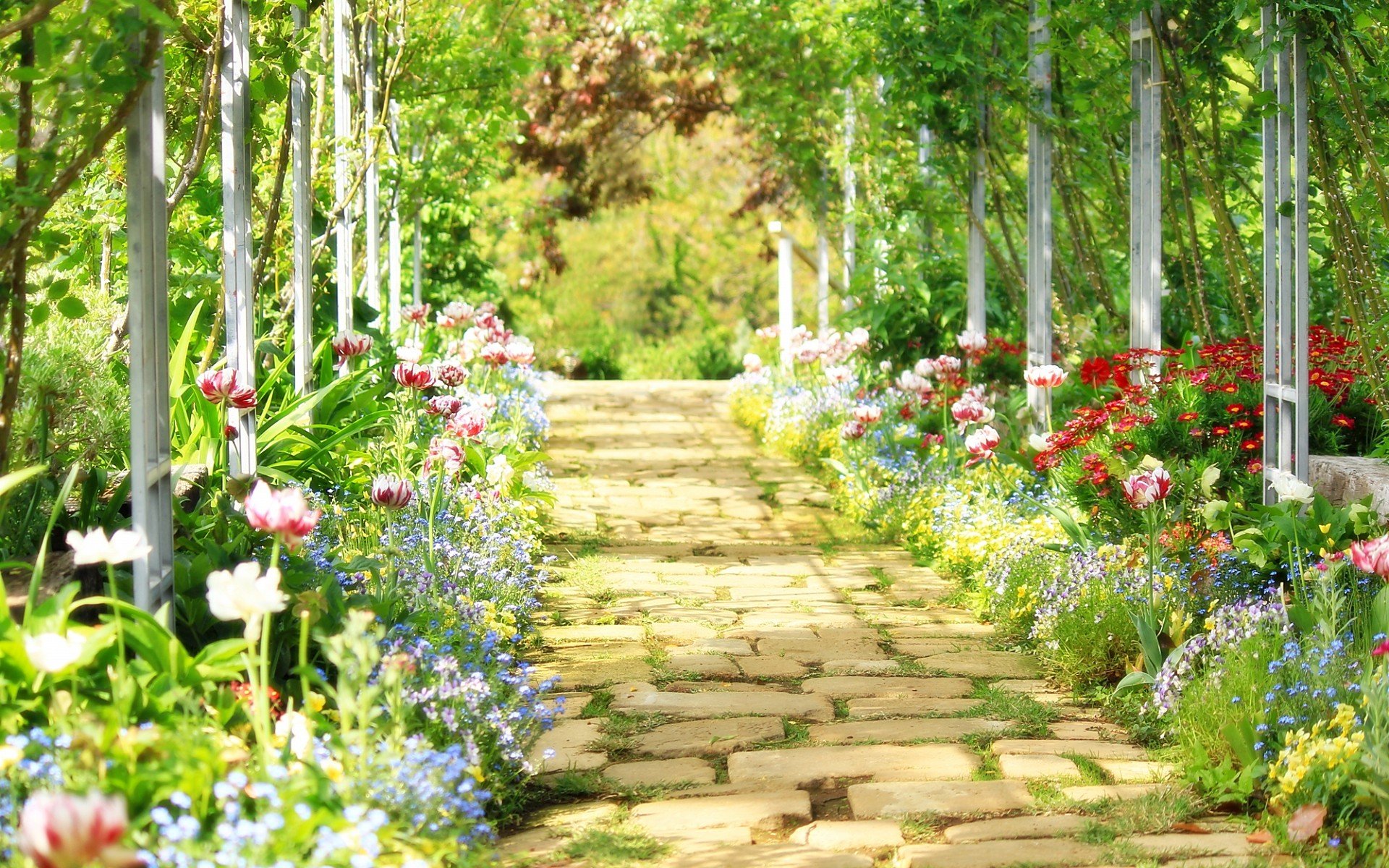 小清新,唯美,娇艳欲滴,花儿,春天,温暖,温馨一刻,清新淡雅,鸟语花香