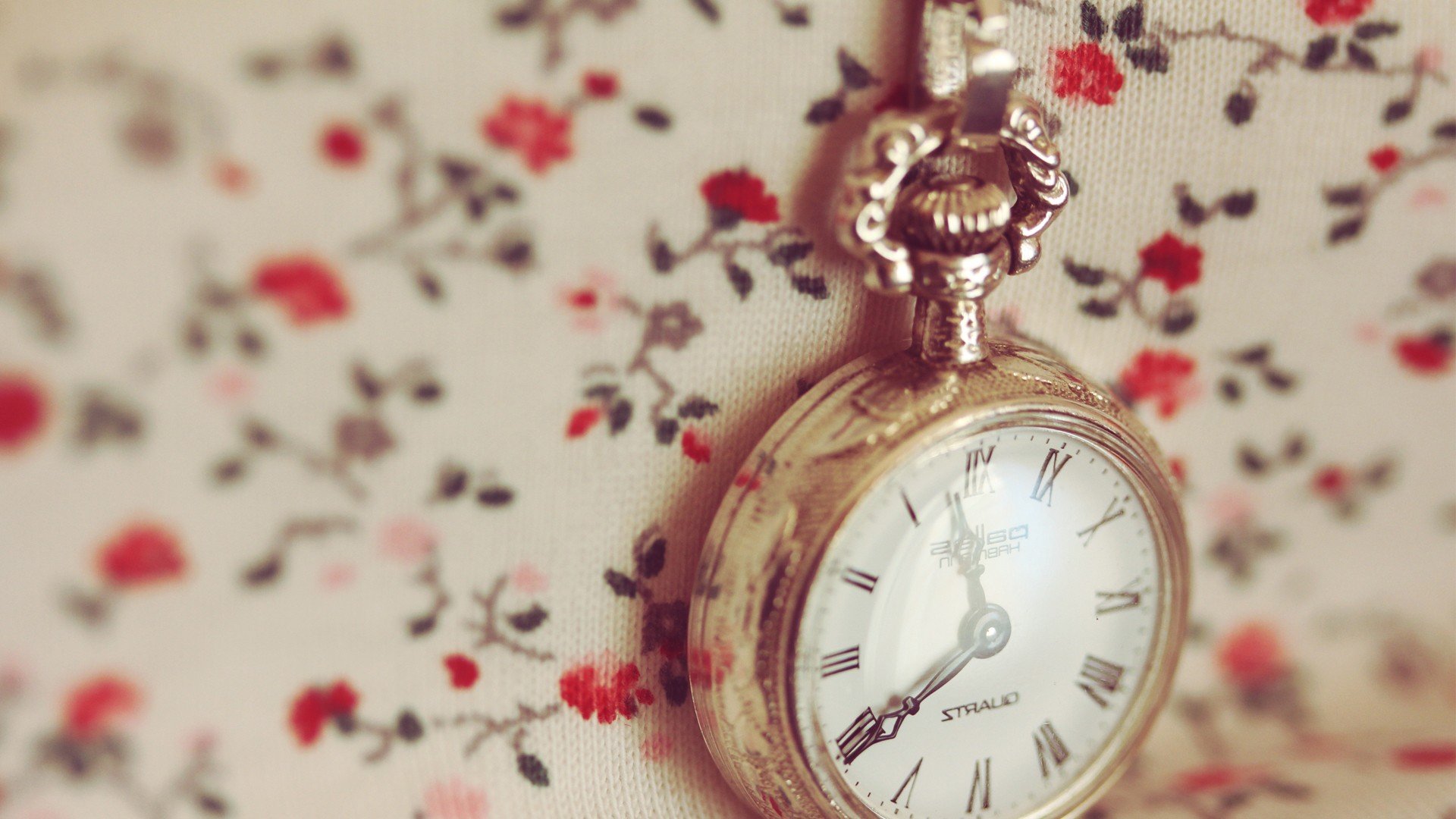 小清新,唯美,温暖,温馨一刻,静物写真