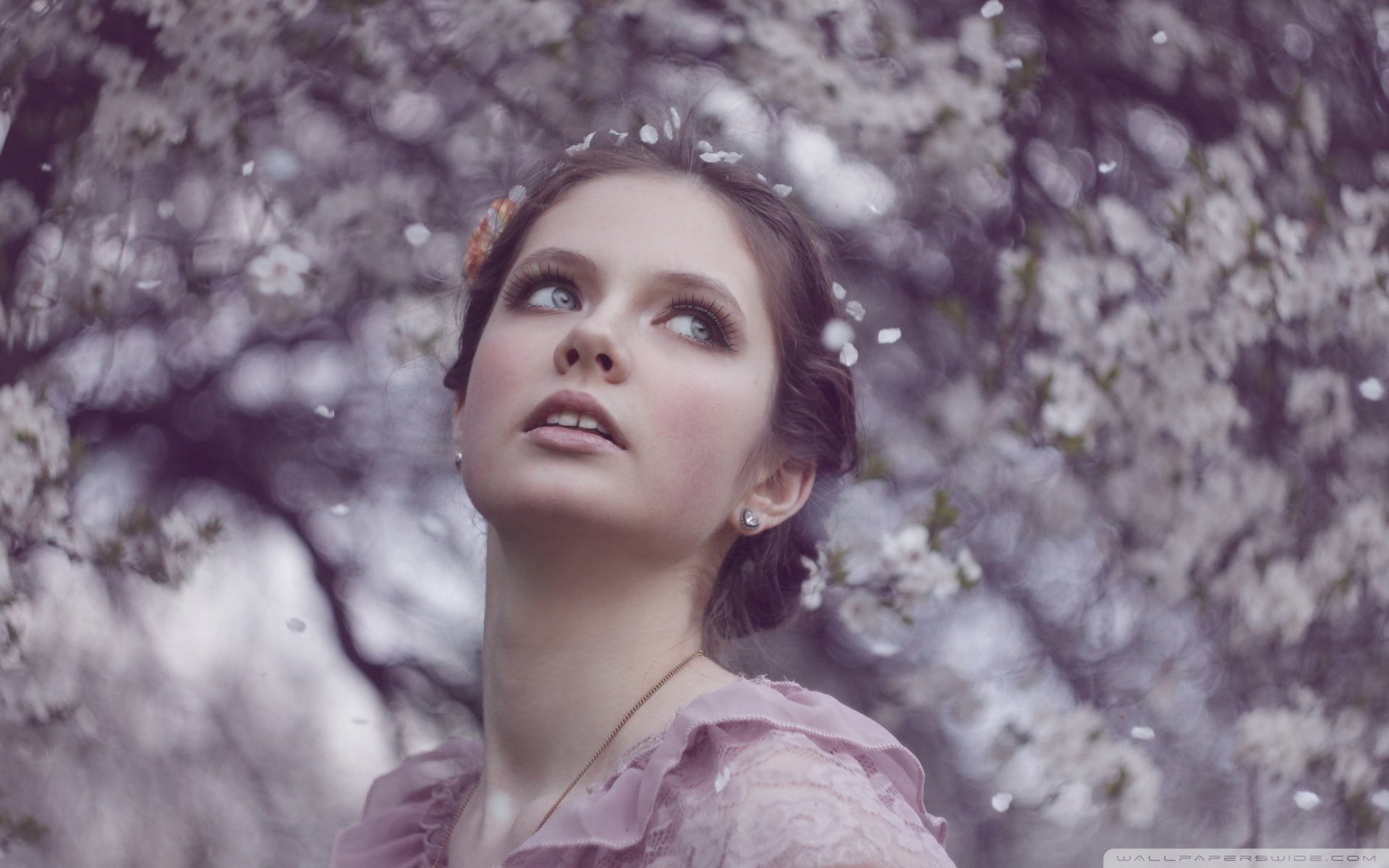 美女,女性,欧美