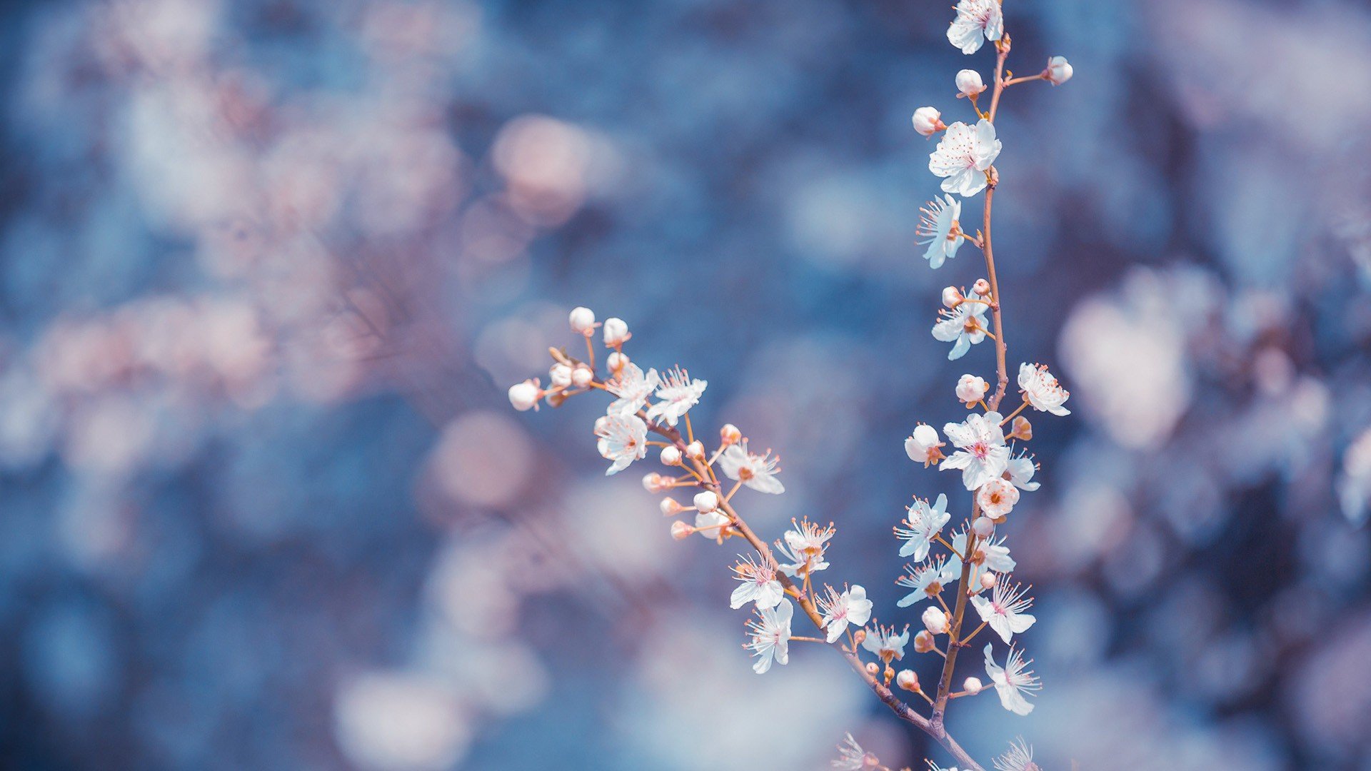 小清新,唯美,温暖,安静