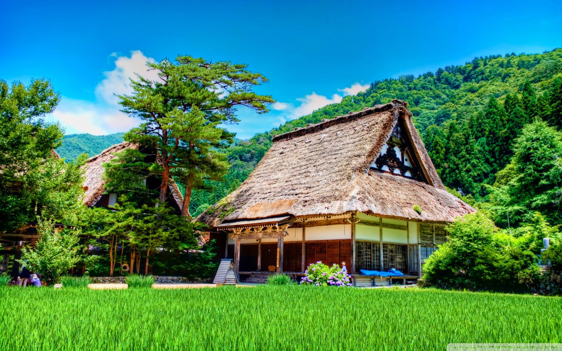 自然,风光,风景,小镇,乡村,田园,房屋,建筑