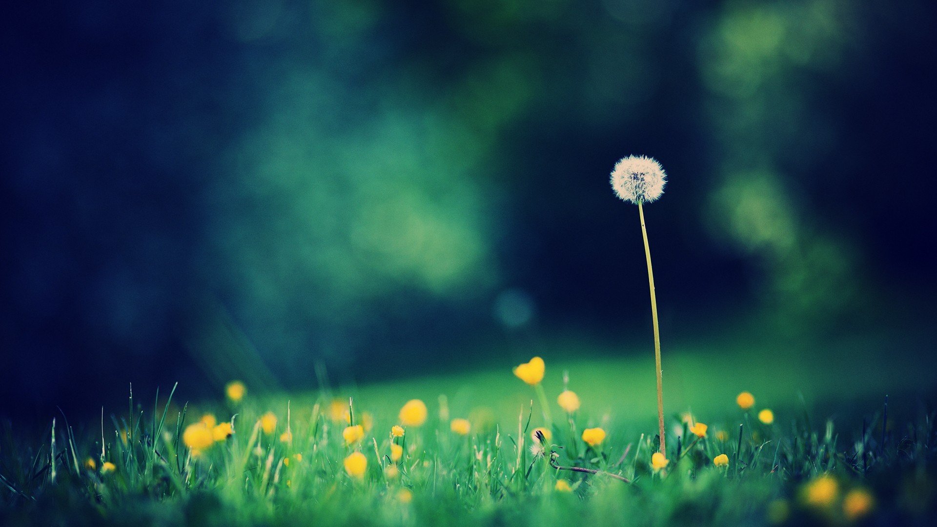 小清新,唯美,温暖,安静