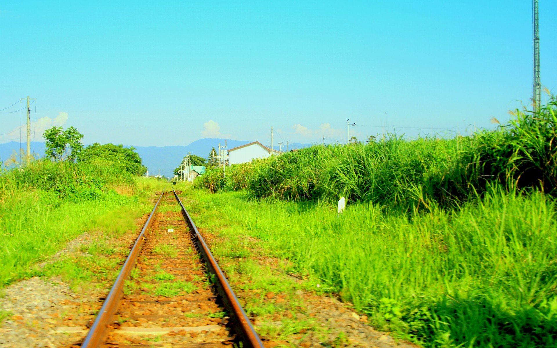 自然风光,绿色,清新,唯美,意境,炎炎夏日,旅游胜地,风景